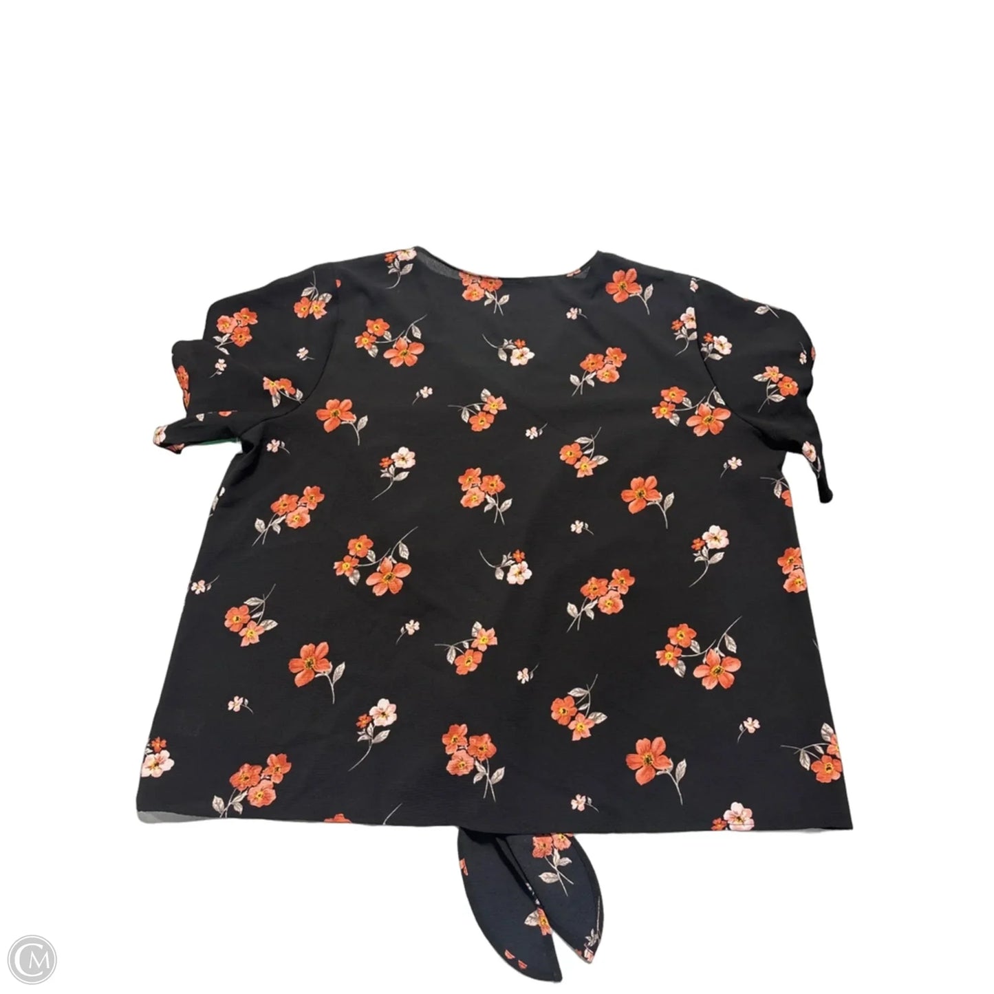 Top Short Sleeve By Lush In Black & Orange, Size: 2x