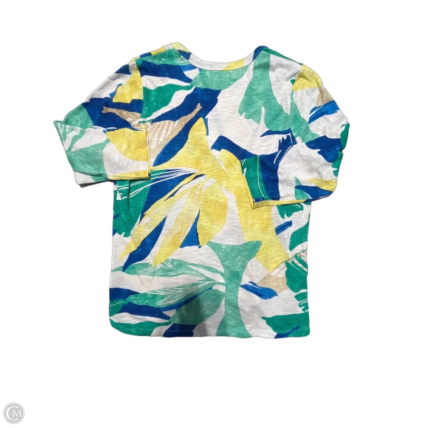 Top Long Sleeve By Chicos In Blue & Green, Size: L