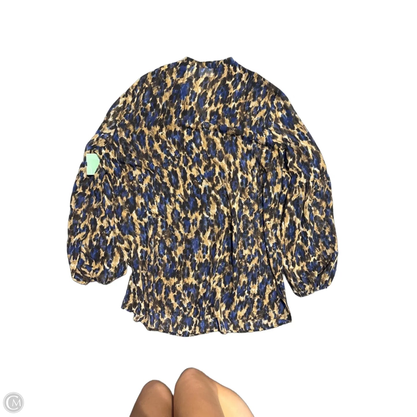 Blouse Long Sleeve By Chicos In Blue & Brown, Size: L