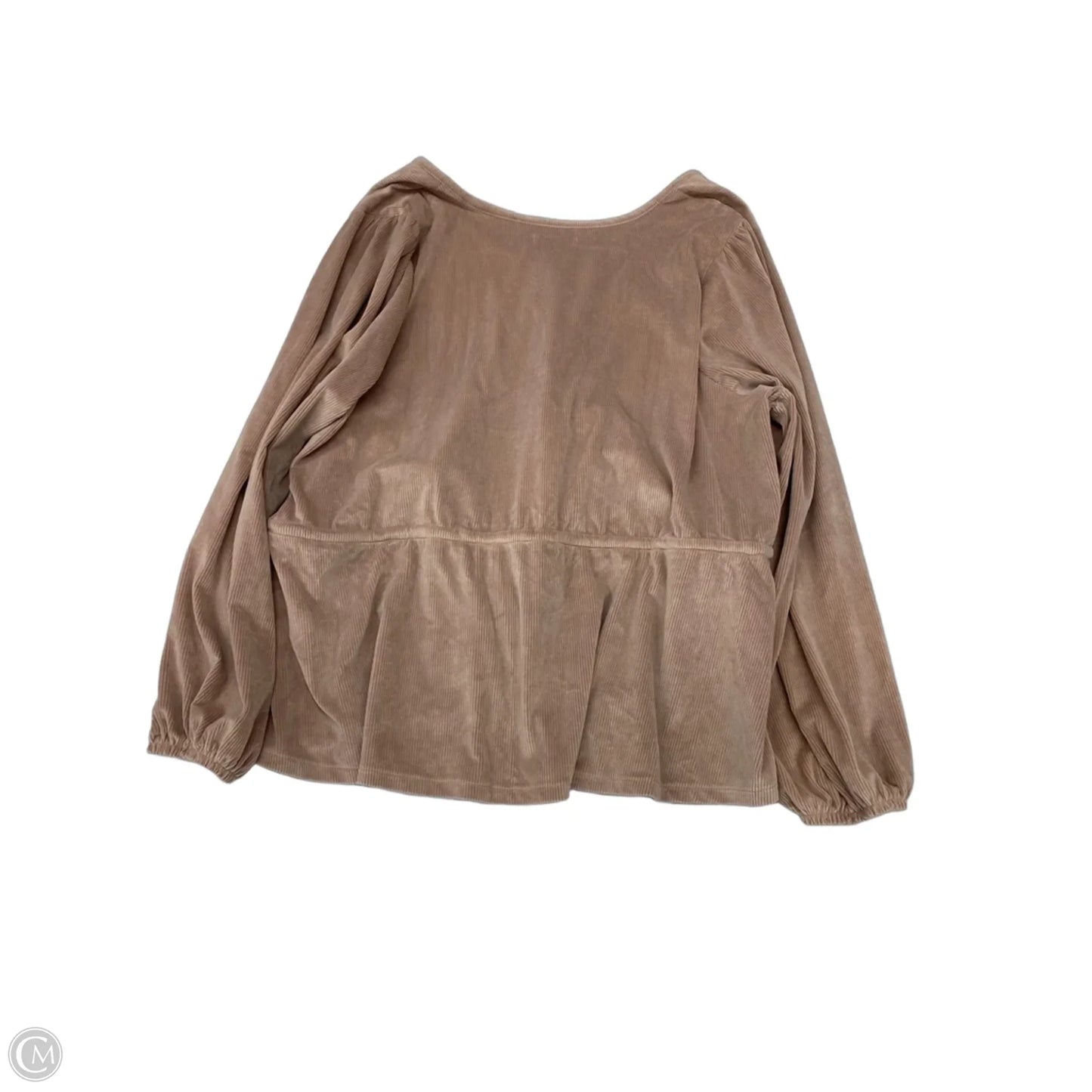 Top Long Sleeve By Madewell In Mauve, Size: 3x
