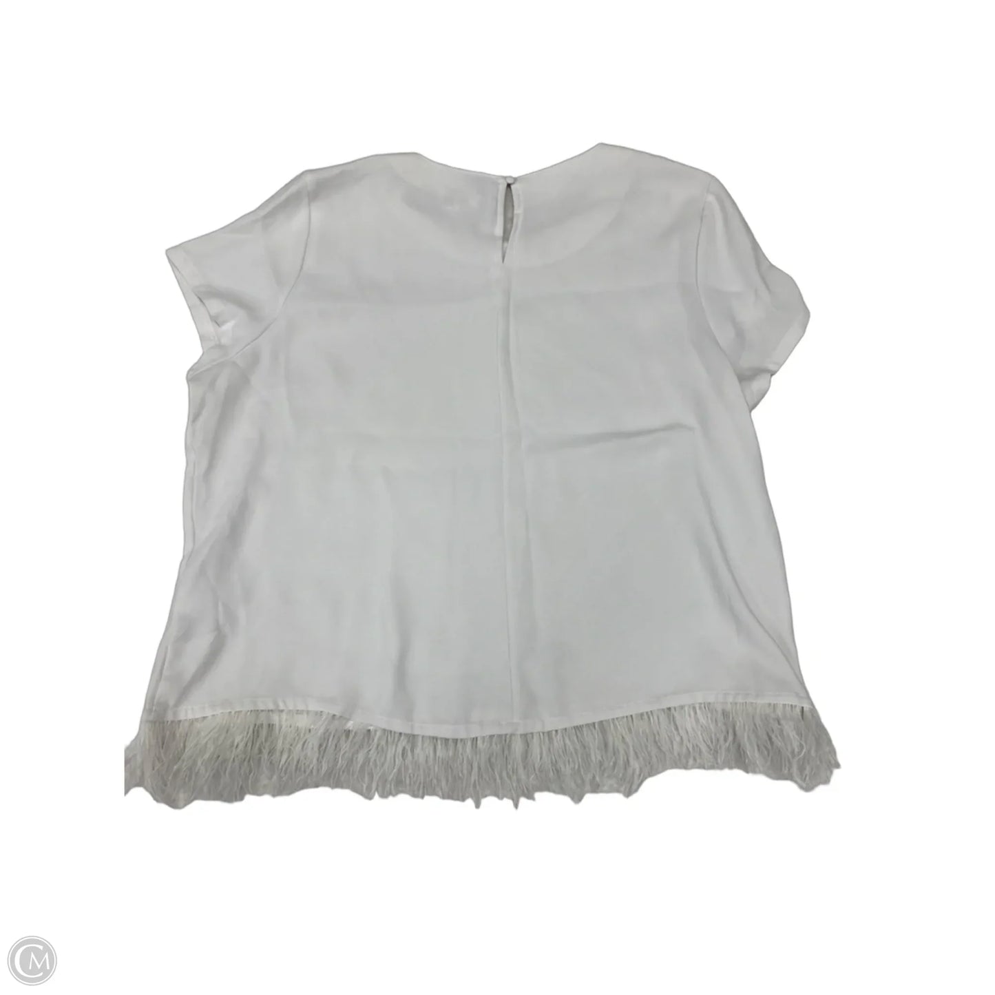 Top Short Sleeve By Crown And Ivy In White, Size: Xxl
