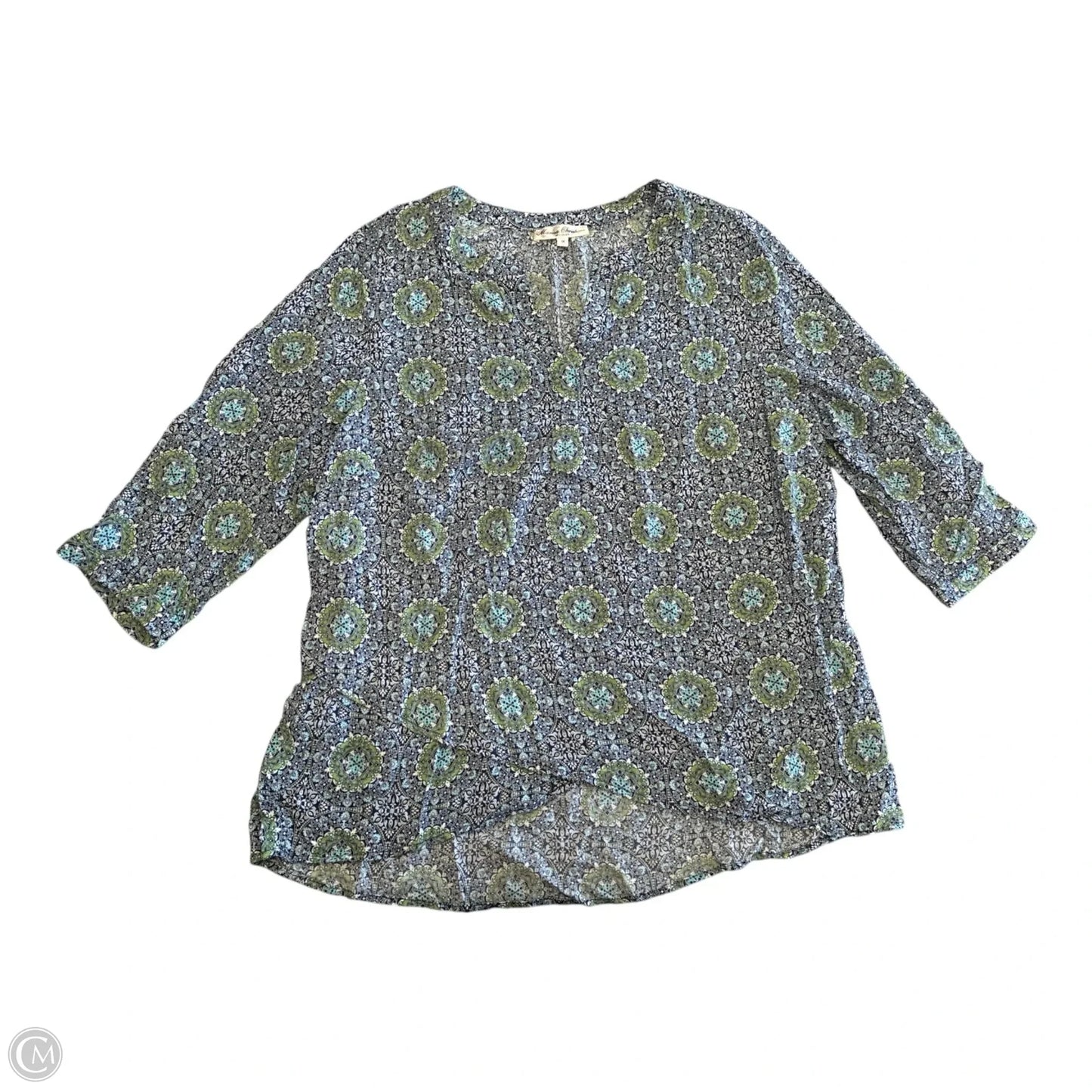 Top Long Sleeve By Marisa Christina In Blue & Green, Size: 1x