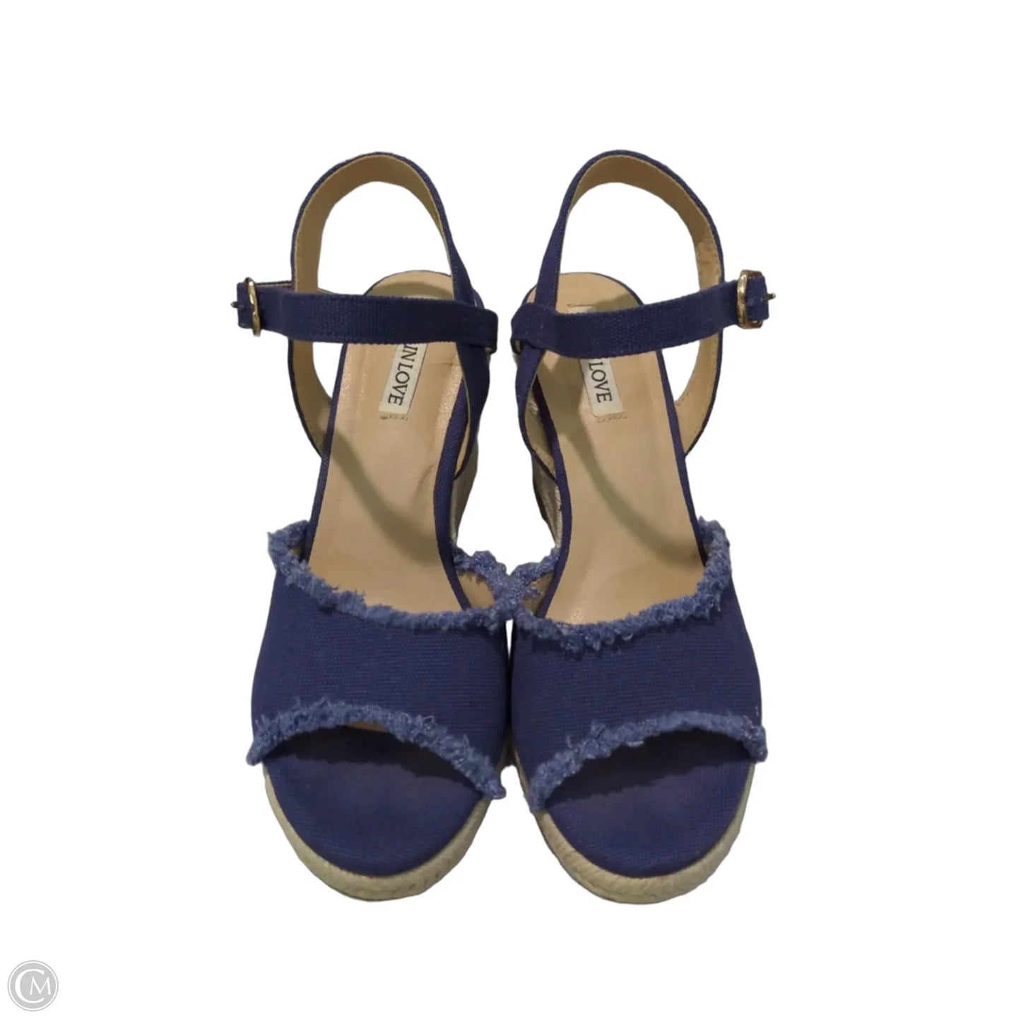 Shoes Heels Wedge By Clothes Mentor In Blue, Size: 9