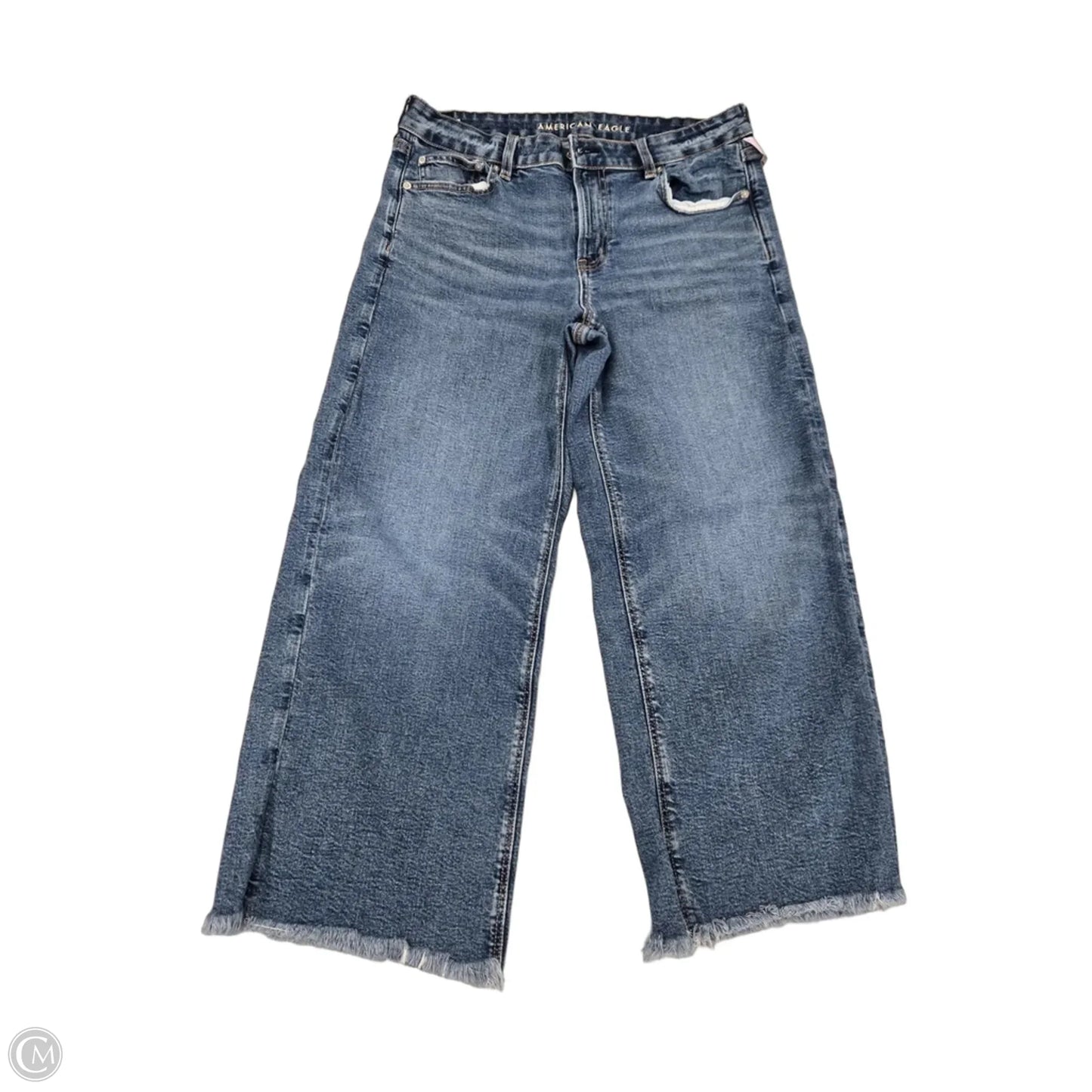 Jeans Wide Leg By American Eagle In Blue Denim, Size: 10