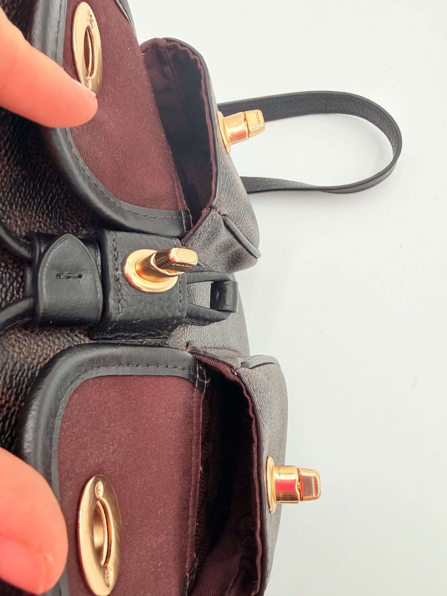 Backpack Designer By Coach, Size: Medium