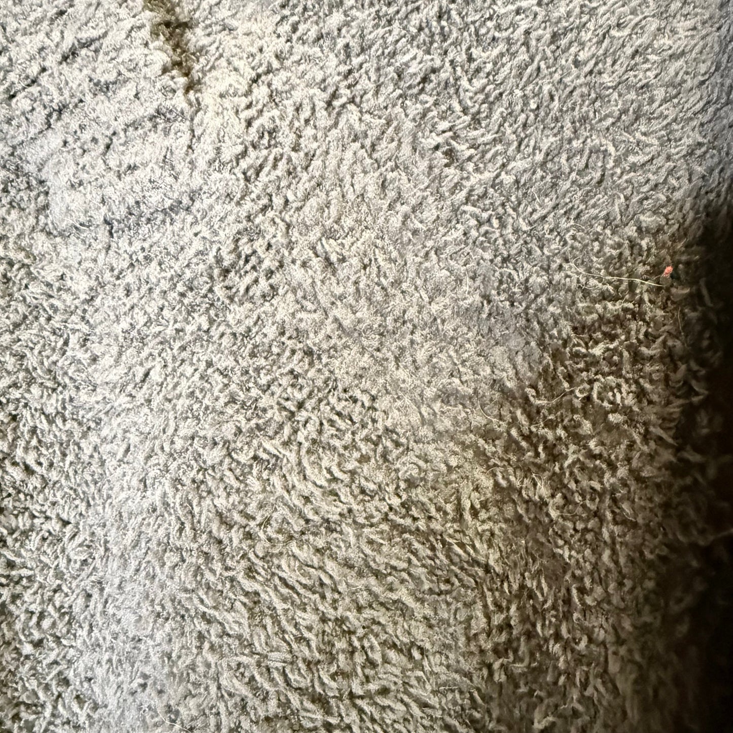 Sweater By Barefoot Dreams In Blue, Size: 1x