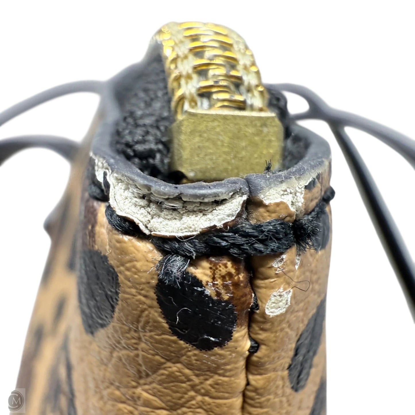 Felicity Leopard Print PVC Tote By Fossil, Size: Medium