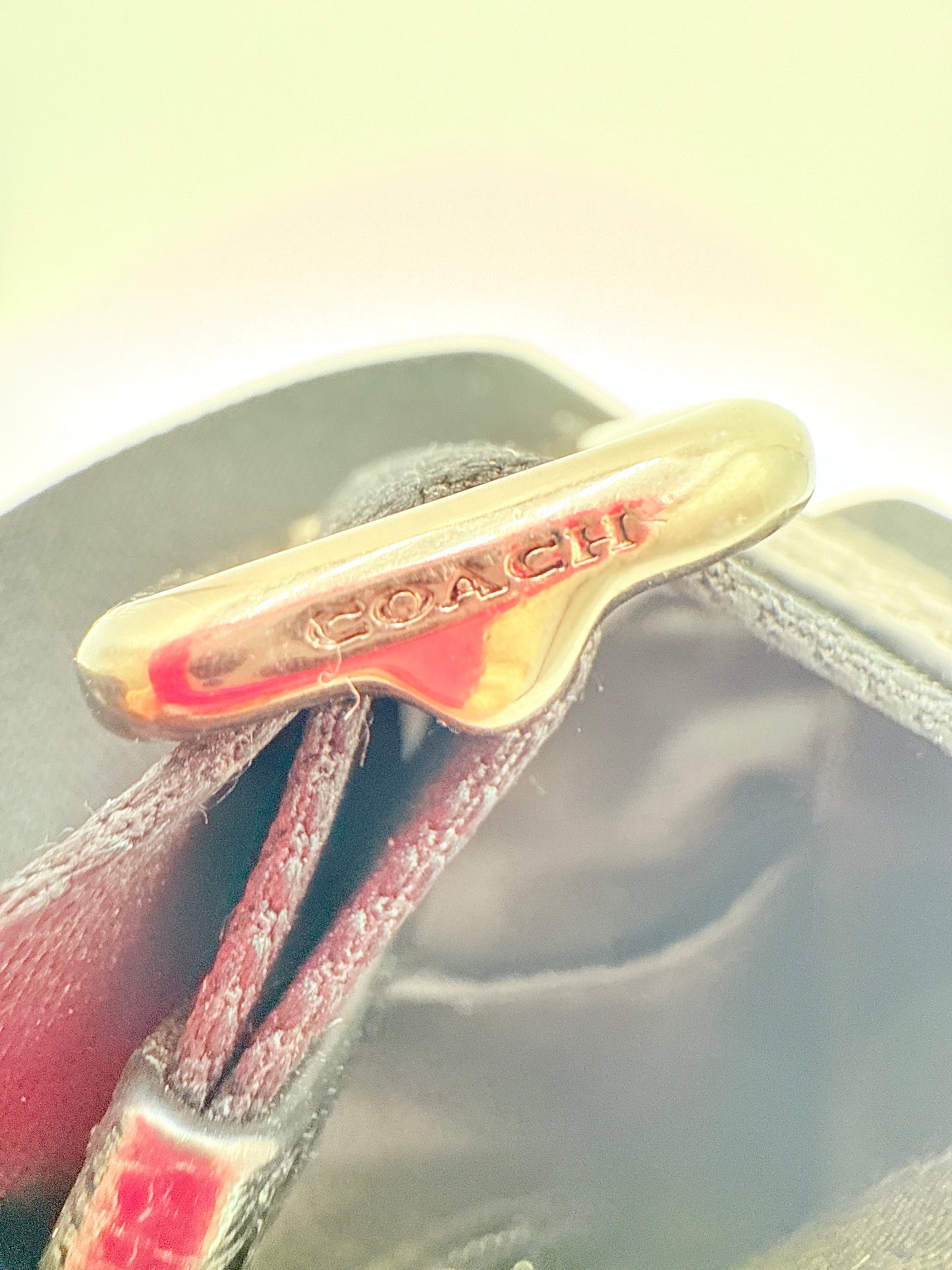 Crossbody Designer By Coach, Size: Medium