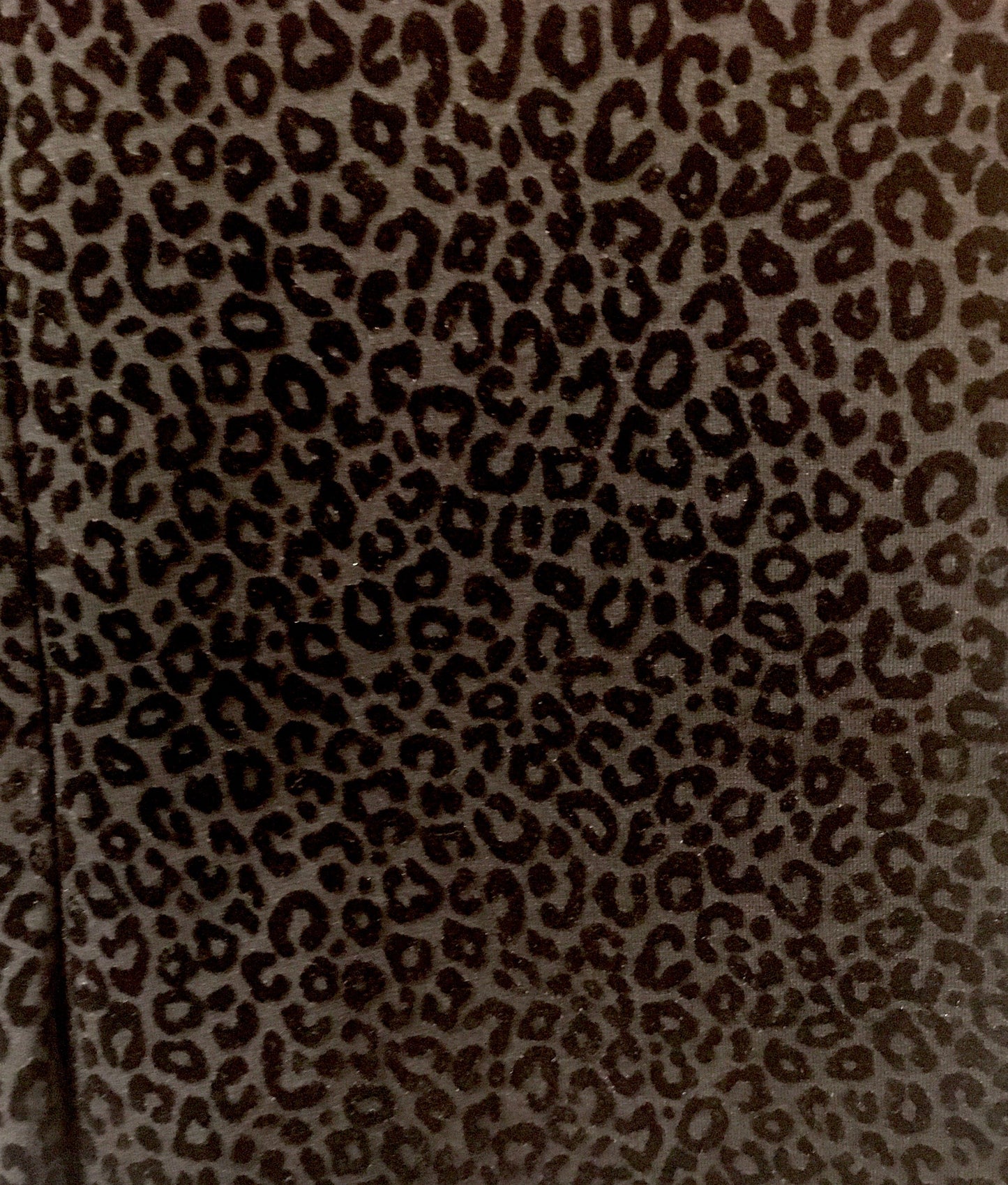 Shorts By Ann Taylor Size: 0