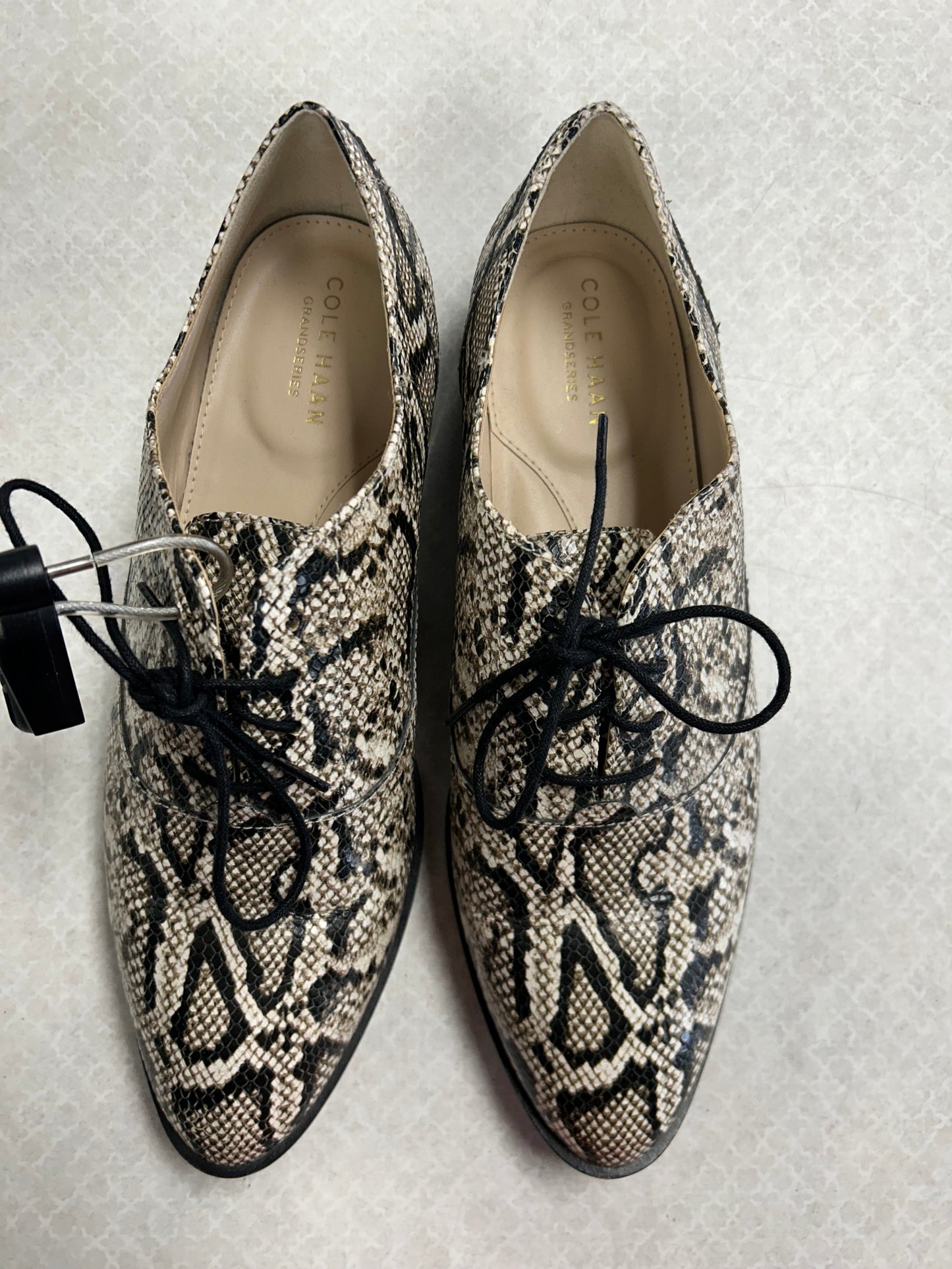 Shoes Flats By Cole-Haan In Snakeskin Print, Size:8.5