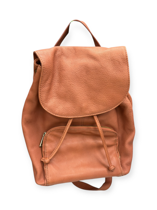 Backpack By Rachel Roy, Size: Medium