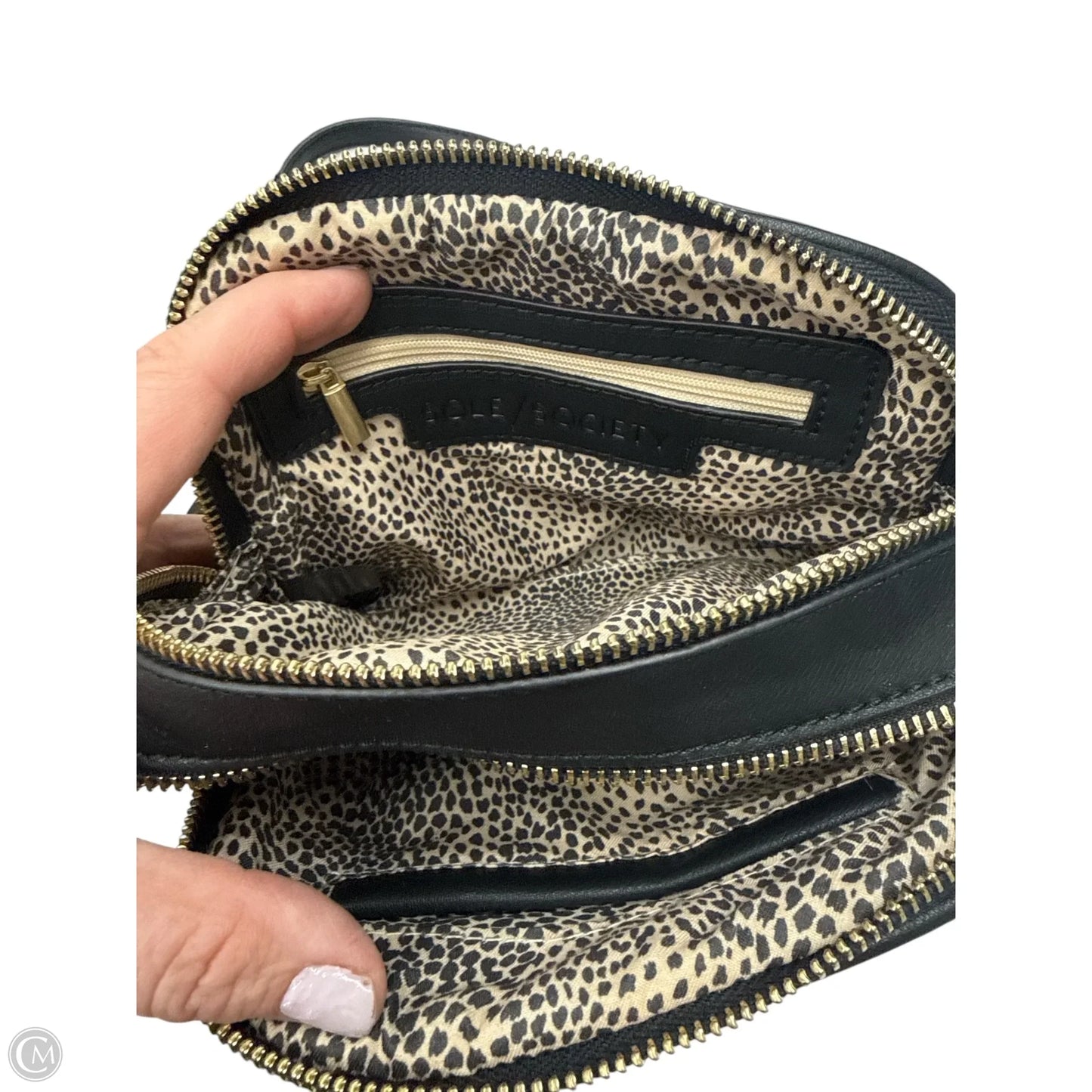 Crossbody By Sole Society, Size: Small