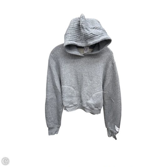 Sweatshirt Hoodie By Aerie In Grey, Size: M