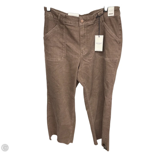 Jeans Wide Leg By Judy Blue In Brown Denim, Size: 16