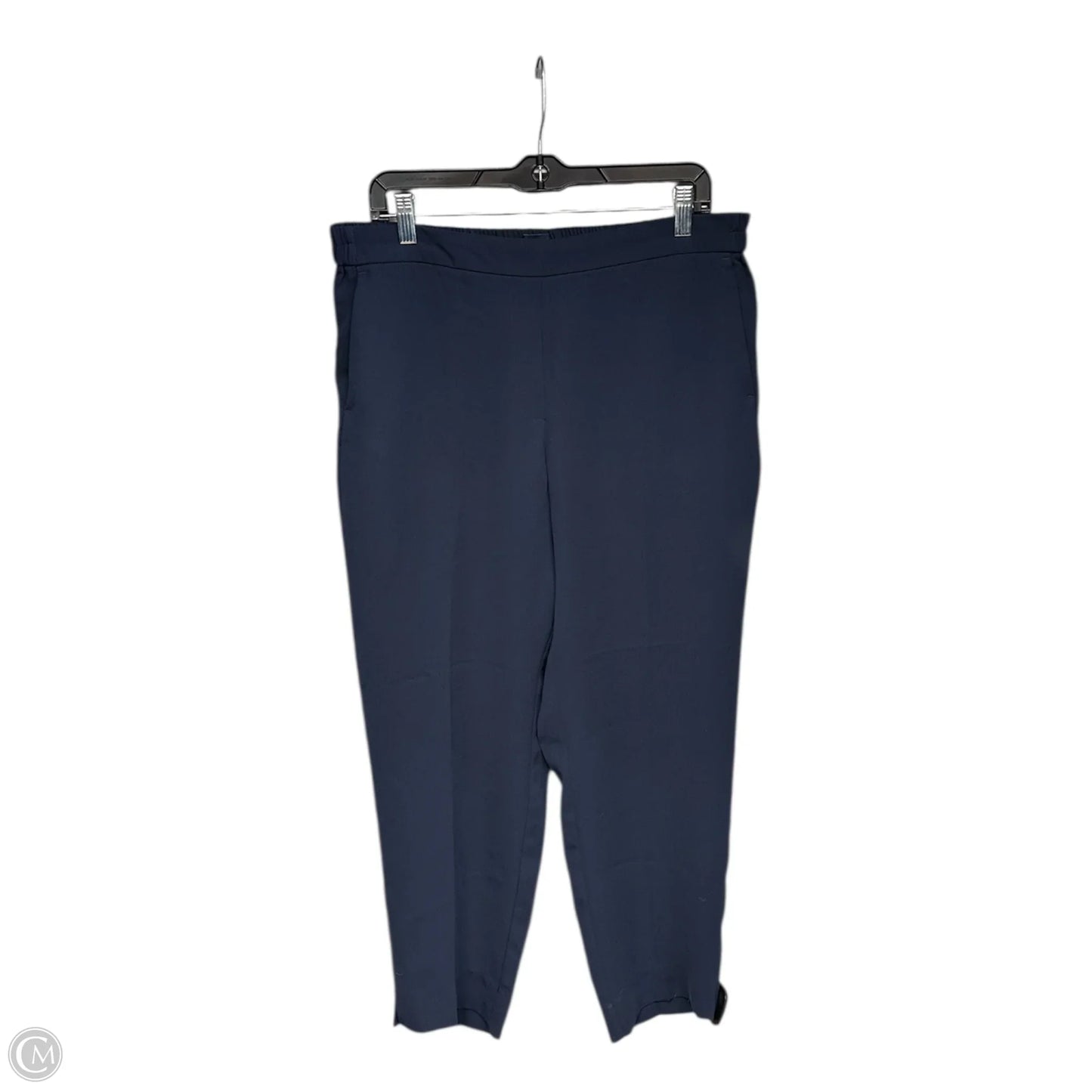 Pants Other By J. Crew In Navy, Size: 14