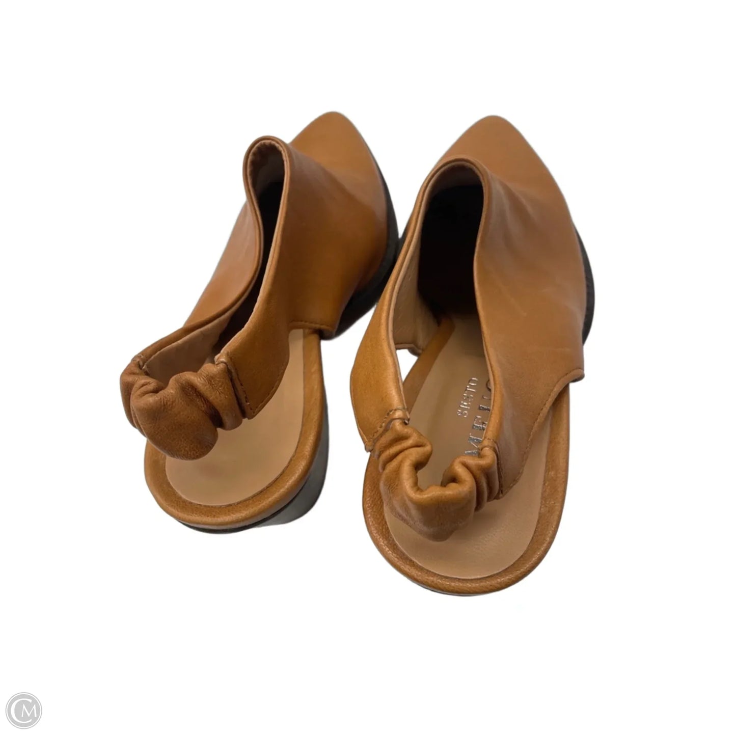 Shoes Heels Block By Sesto Meucci In Brown, Size: 7