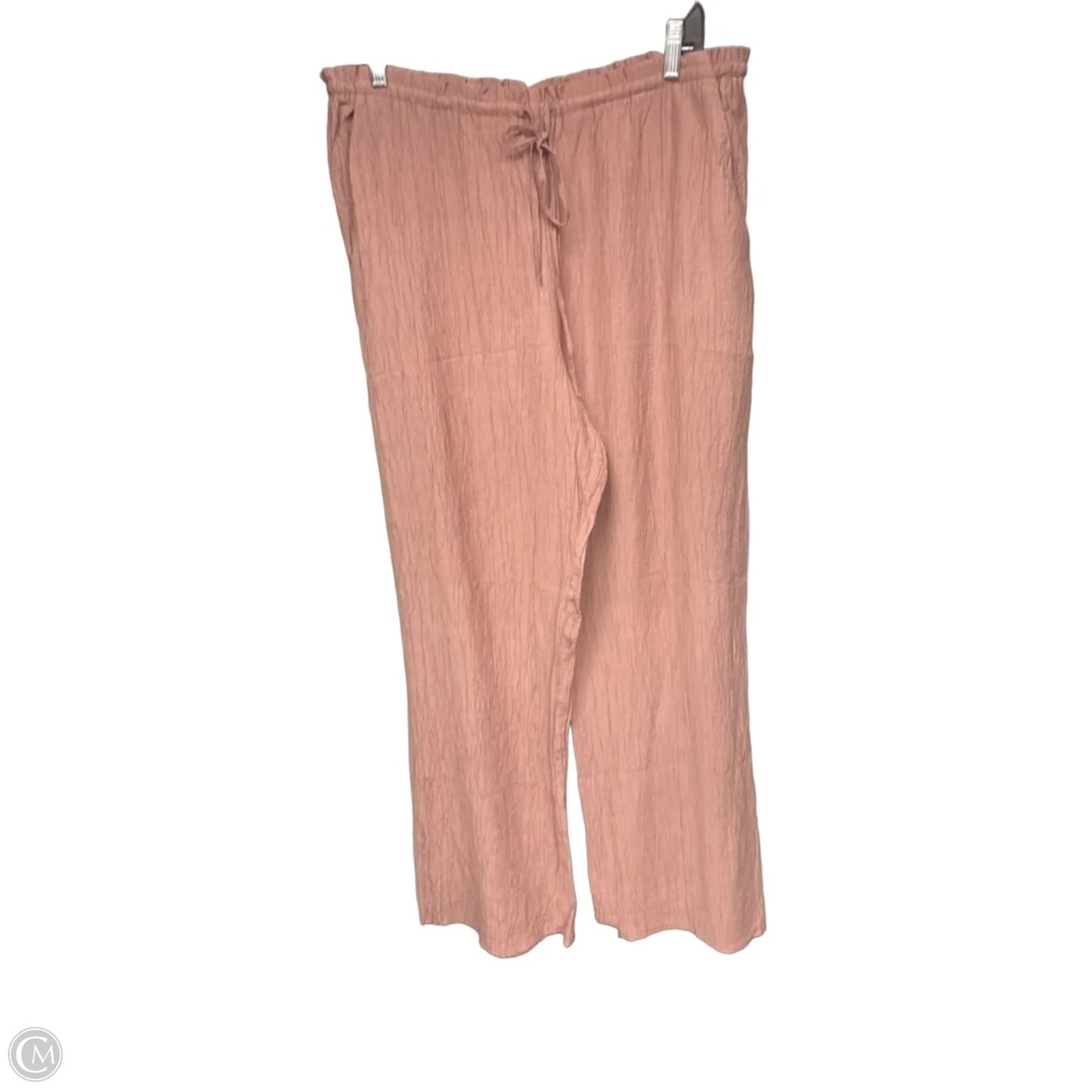 Pants Other By Zara In Pink, Size: Xl