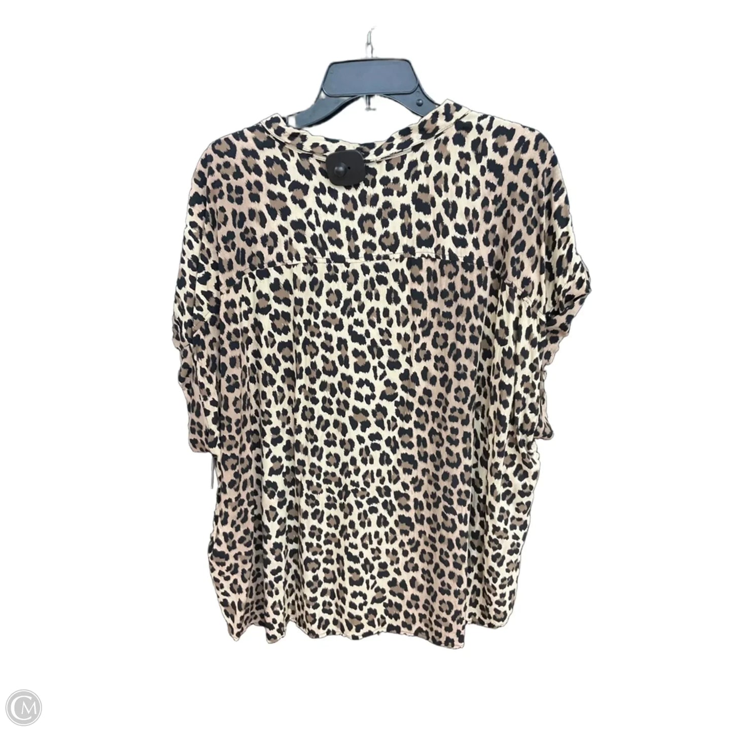Blouse Short Sleeve By Clothes Mentor In Aqua, Size: 3x