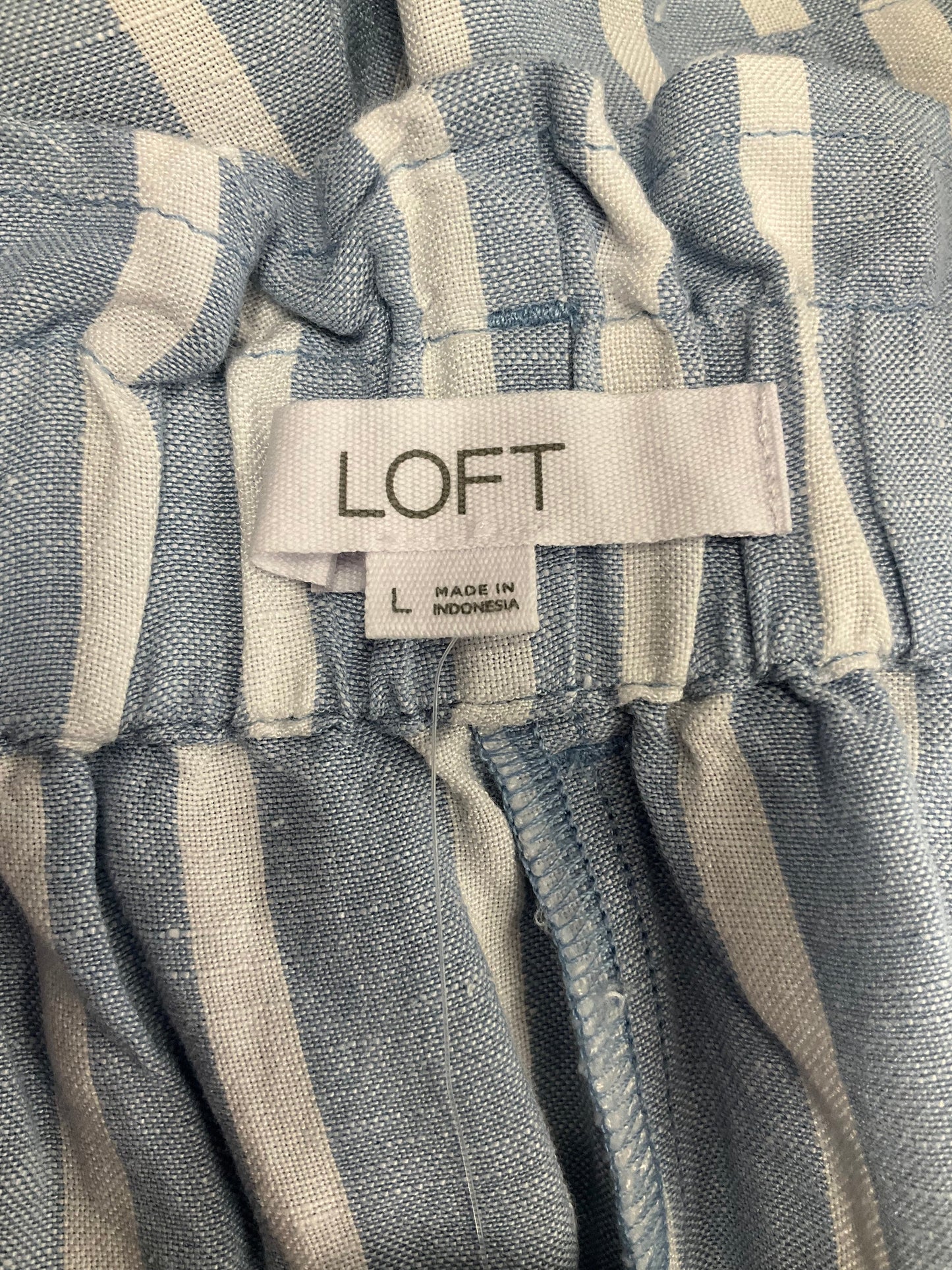 Shorts By Loft  Size: 12