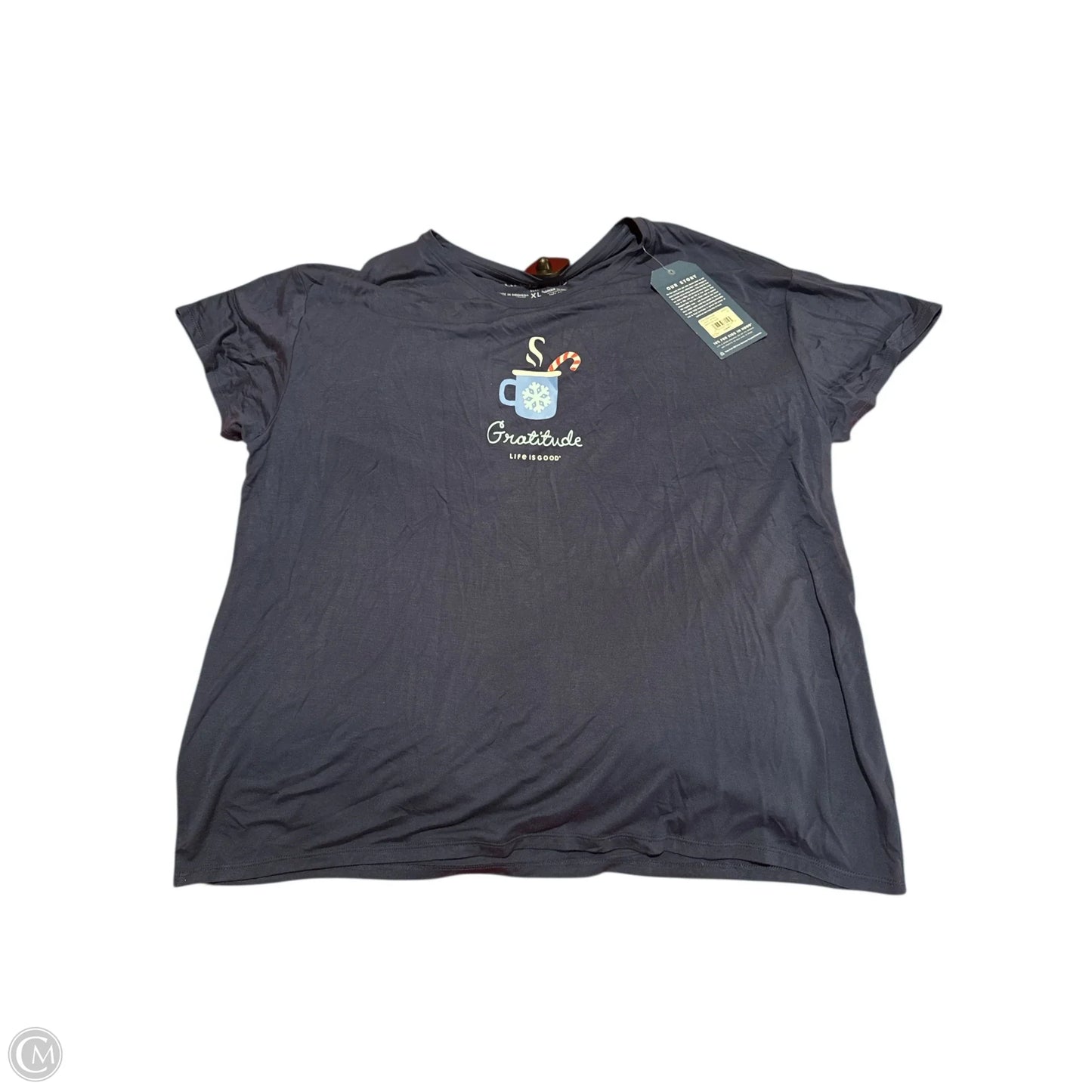 Top Short Sleeve By Life Is Good In Blue, Size: Xl