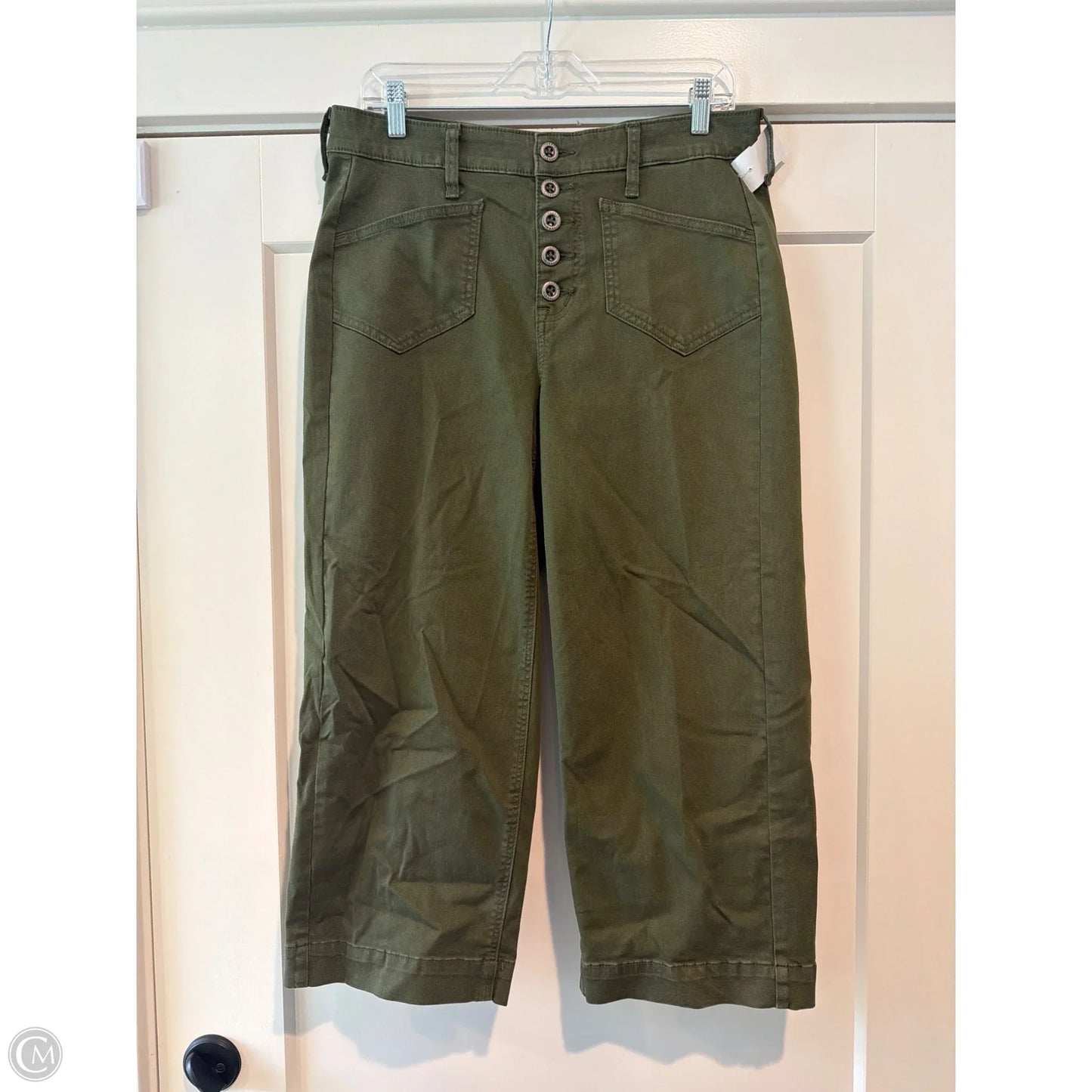 Pants Cargo & Utility By Torrid In Green, Size: 10