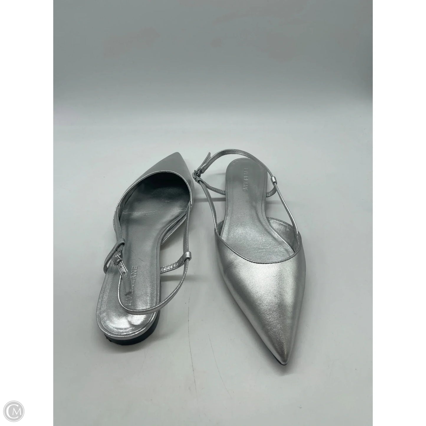Shoes Flats By Everlane In Silver, Size: 8.5