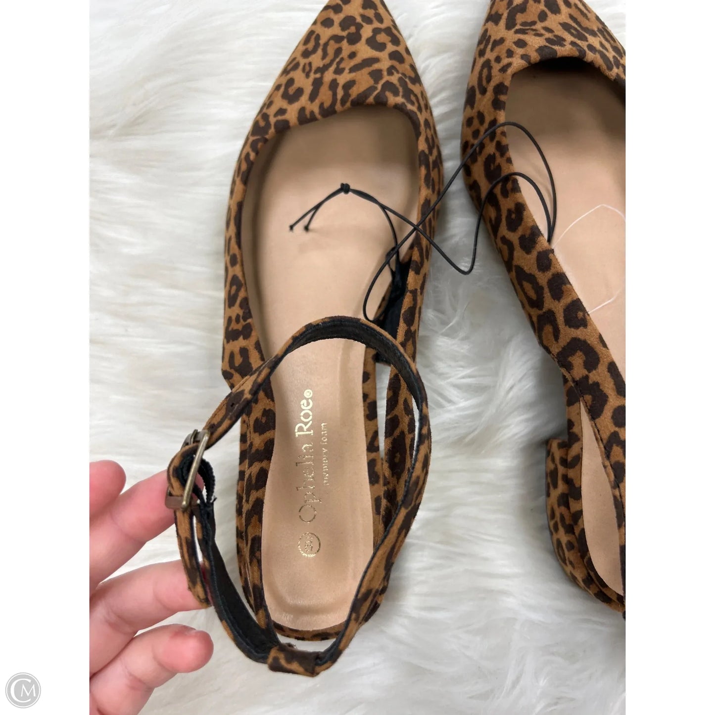 Shoes Sneakers By Ophelia Roe In Animal Print, Size: 9