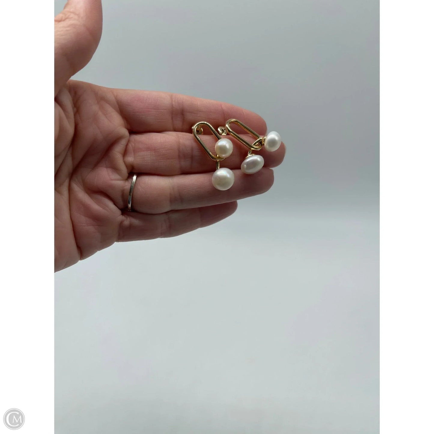 Earrings Dangle/drop By Clothes Mentor