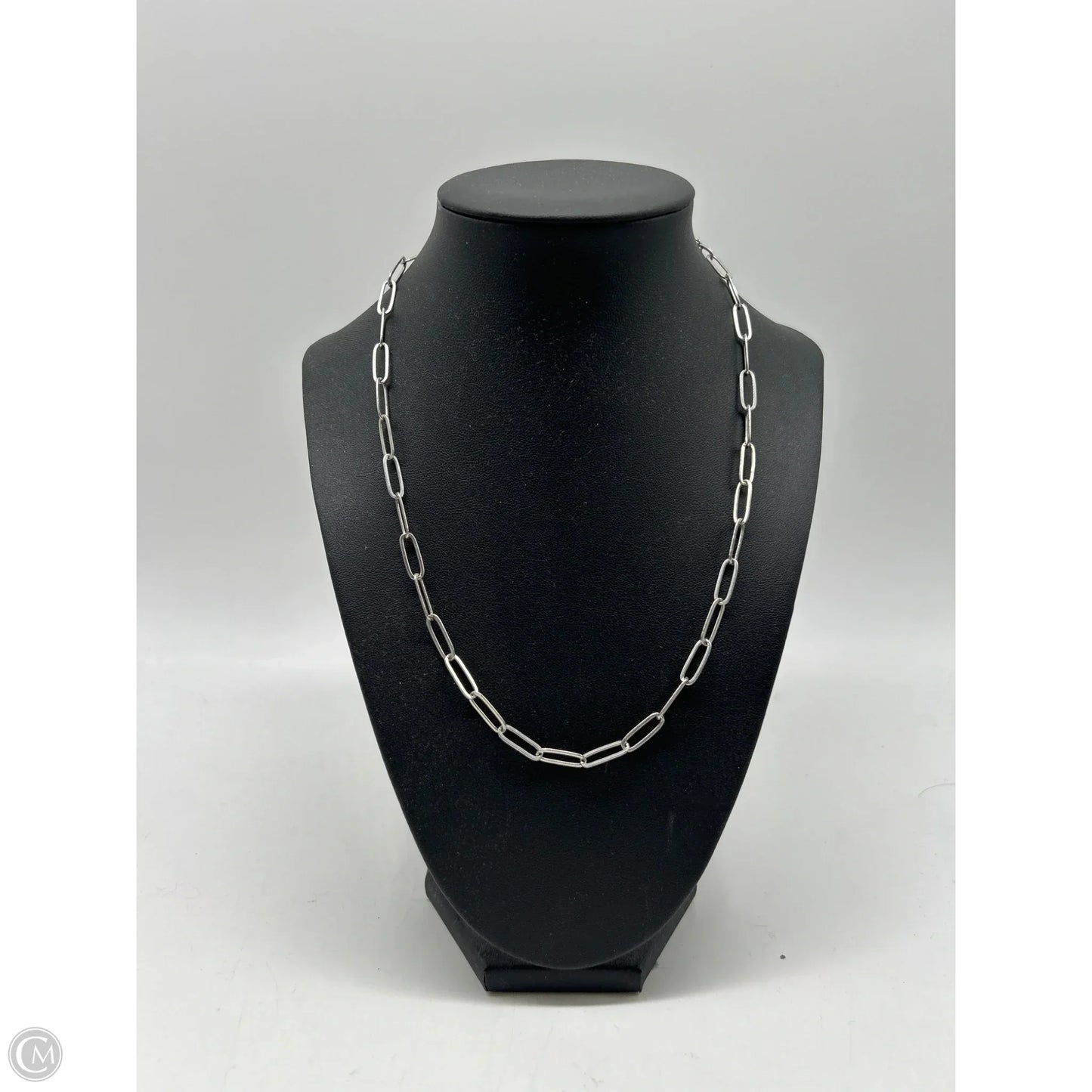 Necklace Chain By Clothes Mentor