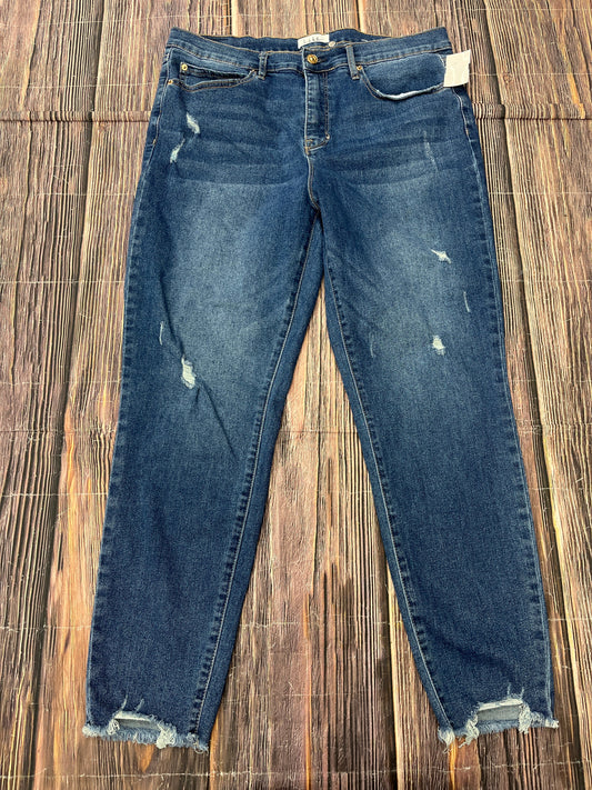 Blue Denim Jeans Skinny Nicole By Nicole Miller, Size 12