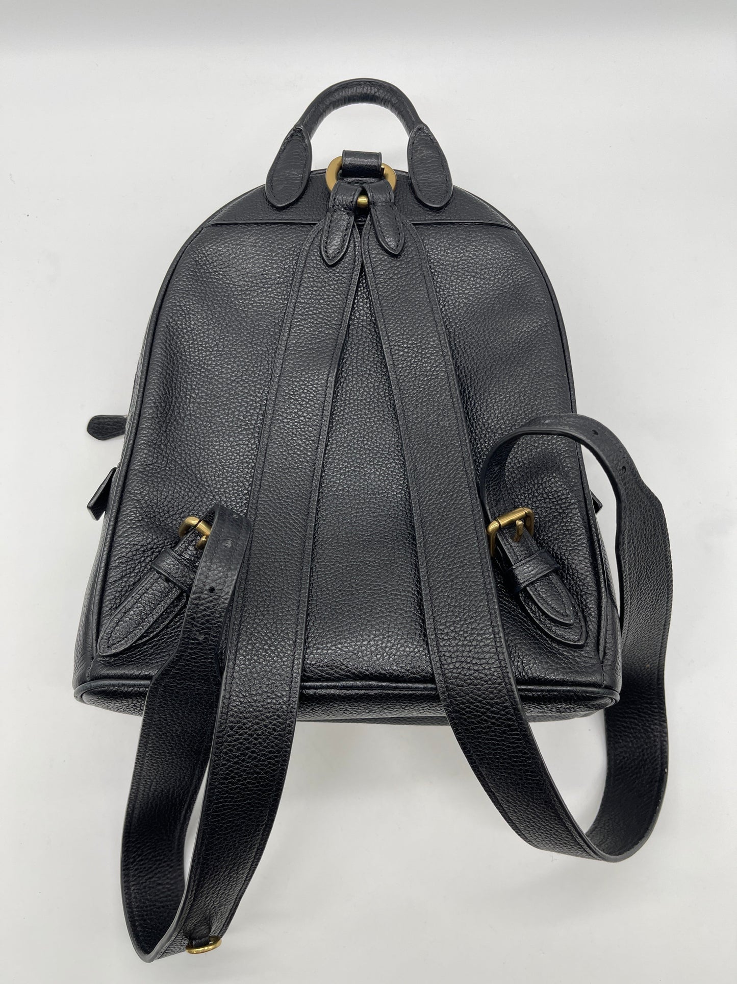 Backpack Designer By Coach, Size: Small