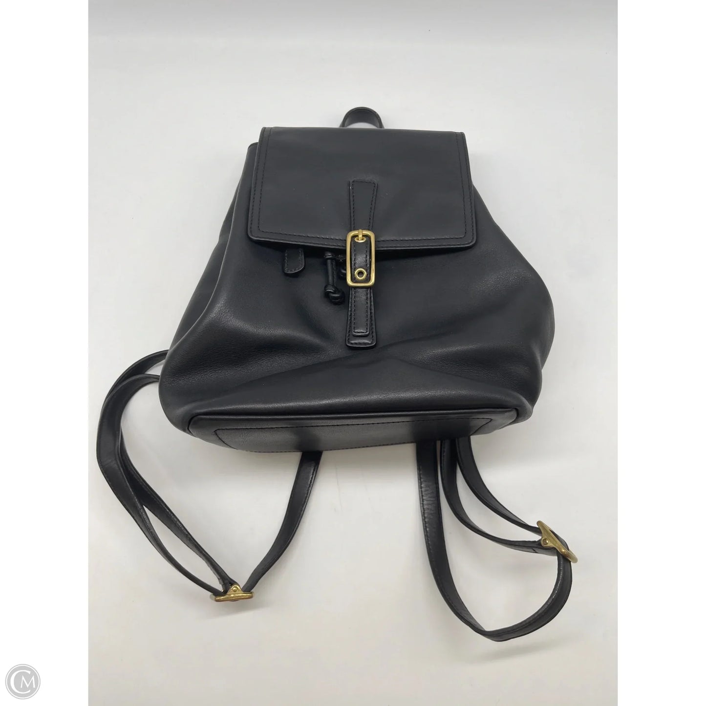 Backpack Designer By Coach, Size: Medium