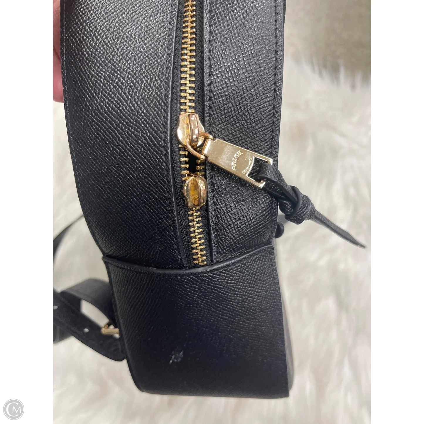 Backpack Designer By Coach, Size: Medium