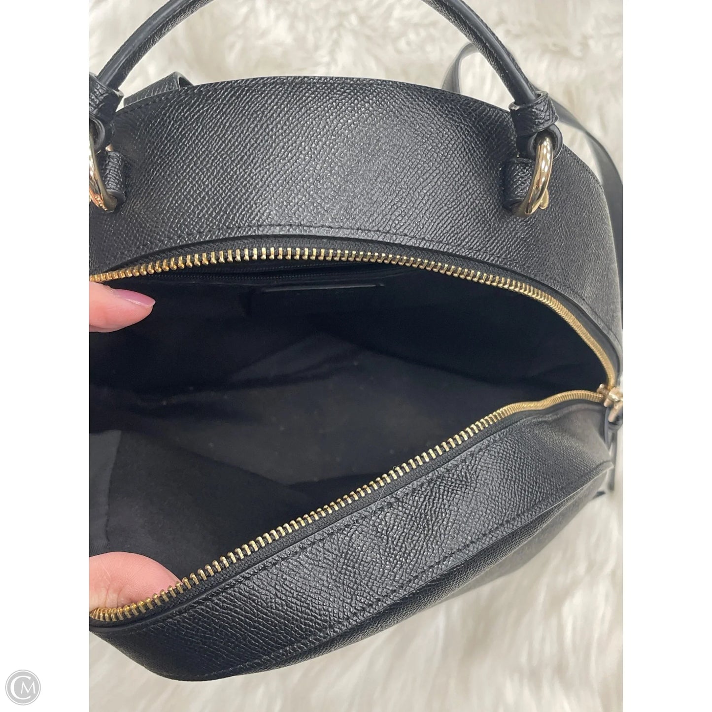 Backpack Designer By Coach, Size: Medium