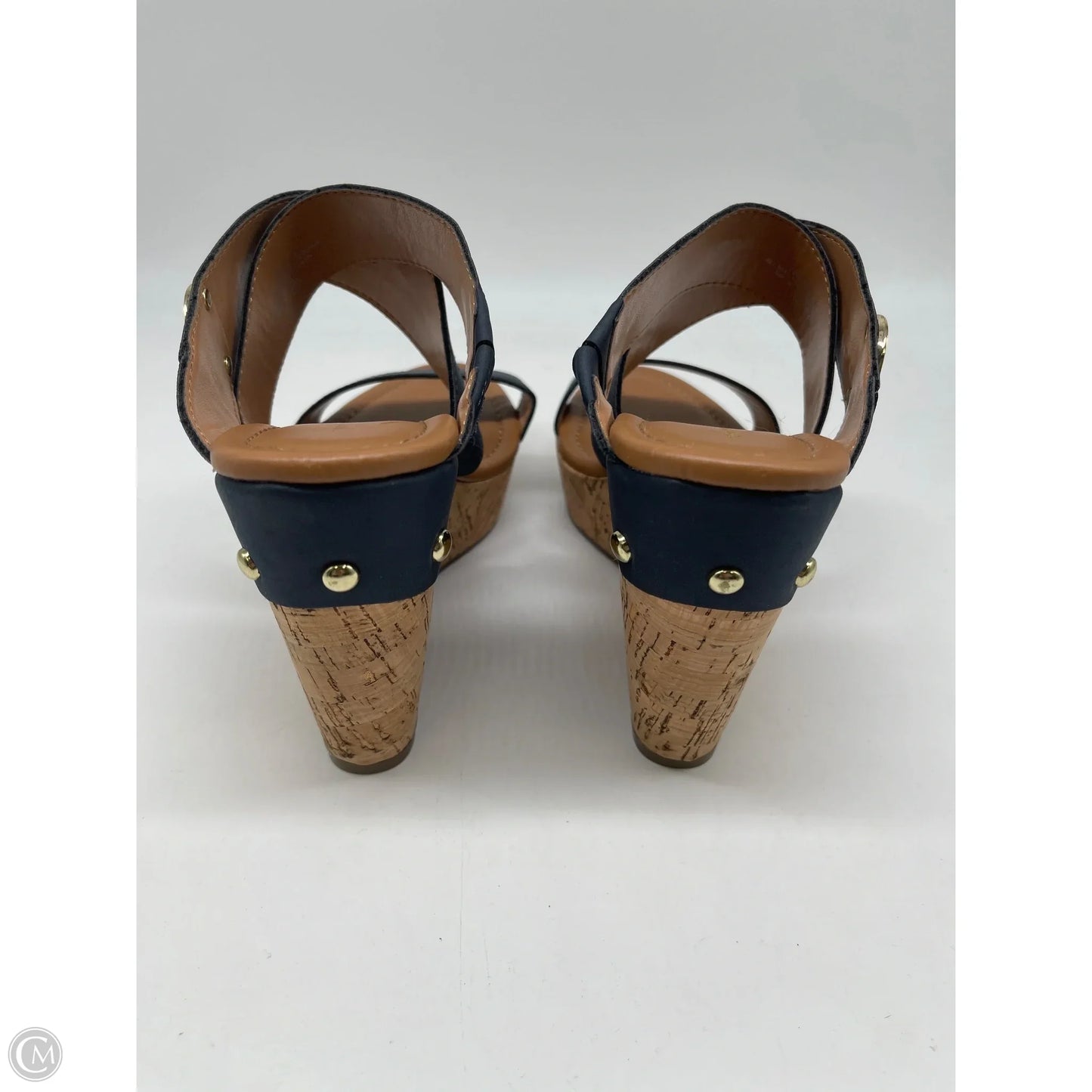 Shoes Heels Wedge By Tommy Hilfiger In Blue, Size: 9