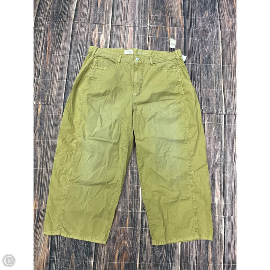 Capris By Pilcro In Green, Size: 16
