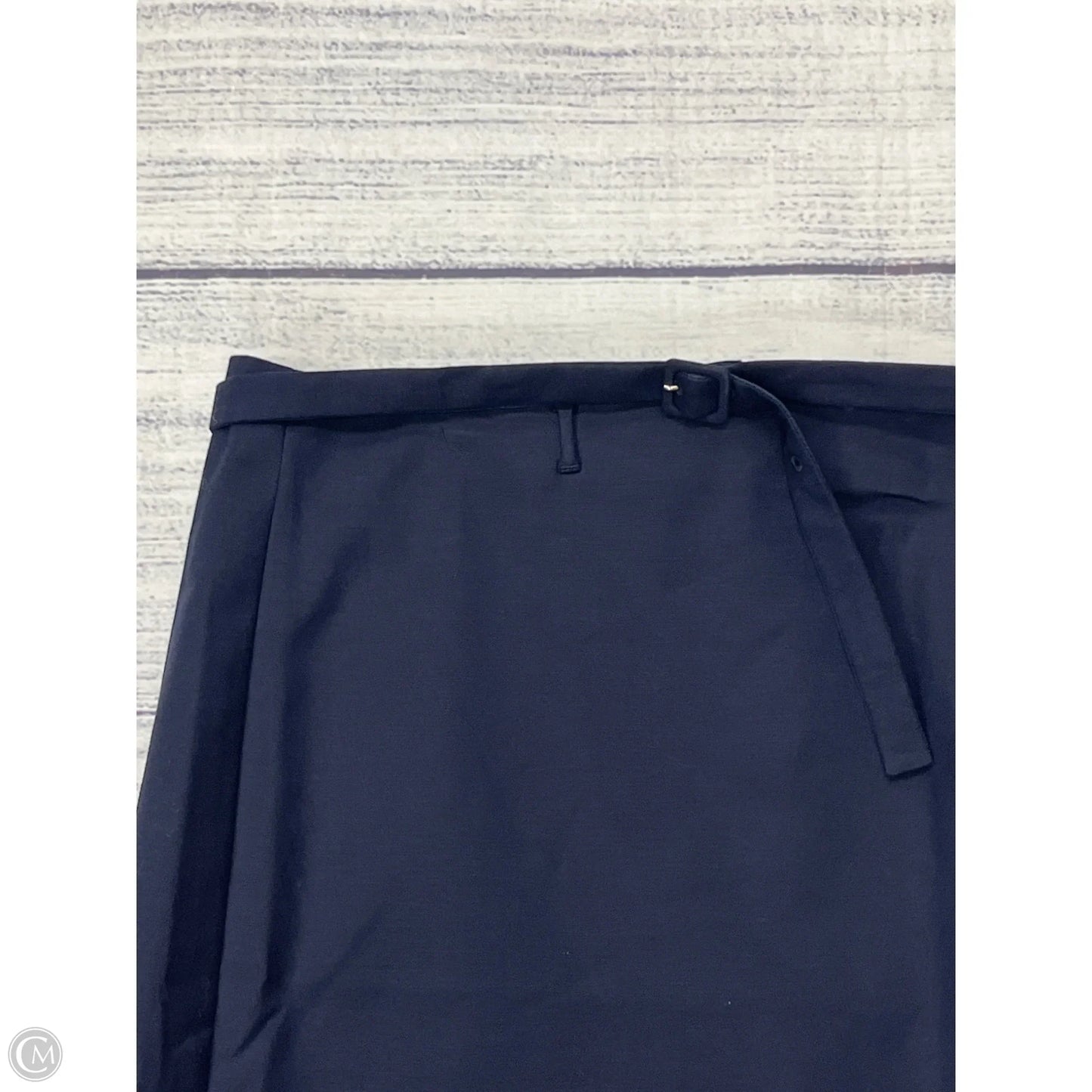 Skirt Mini & Short By Ann Taylor In Blue, Size: 18