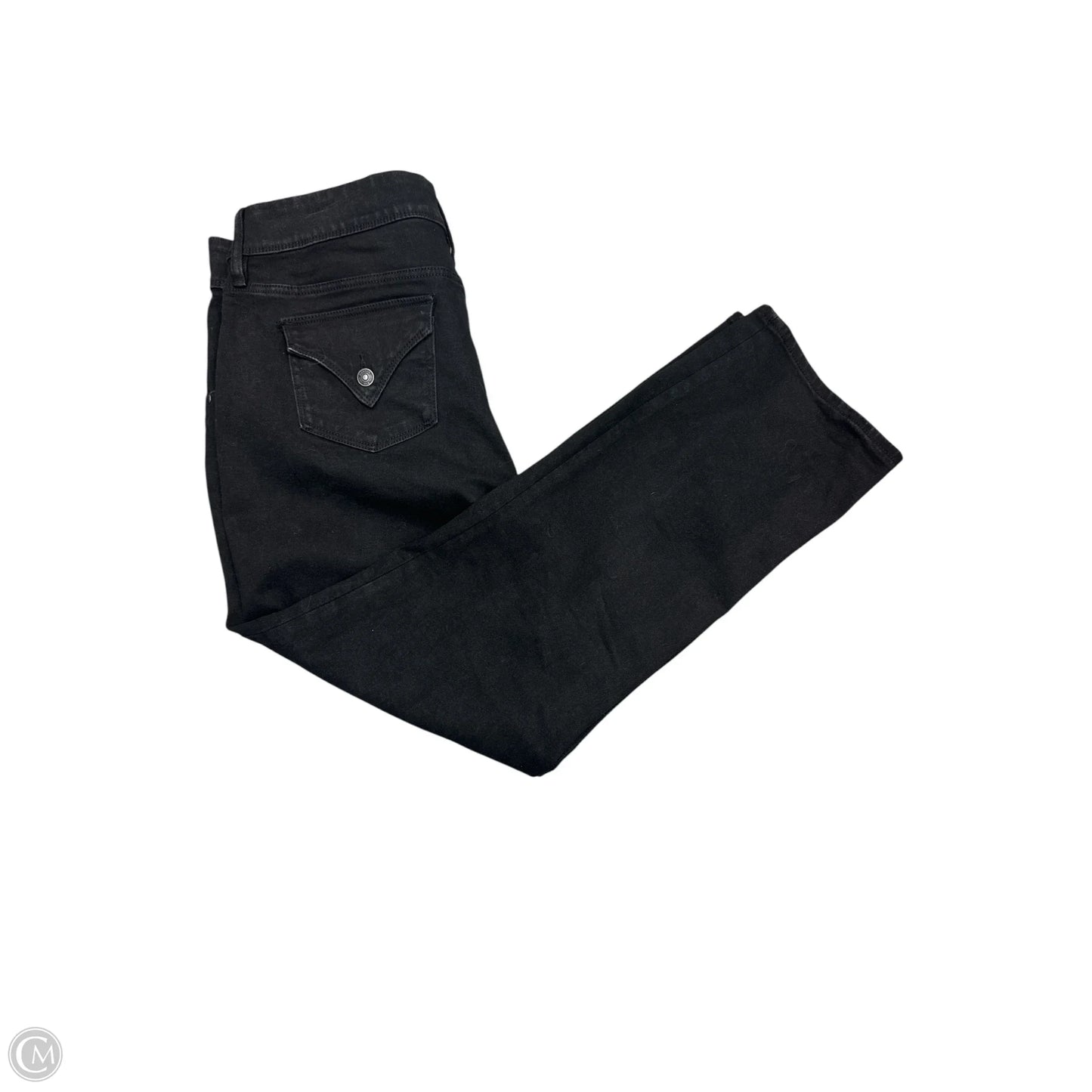 Pants Other By Hudson In Black, Size: 16