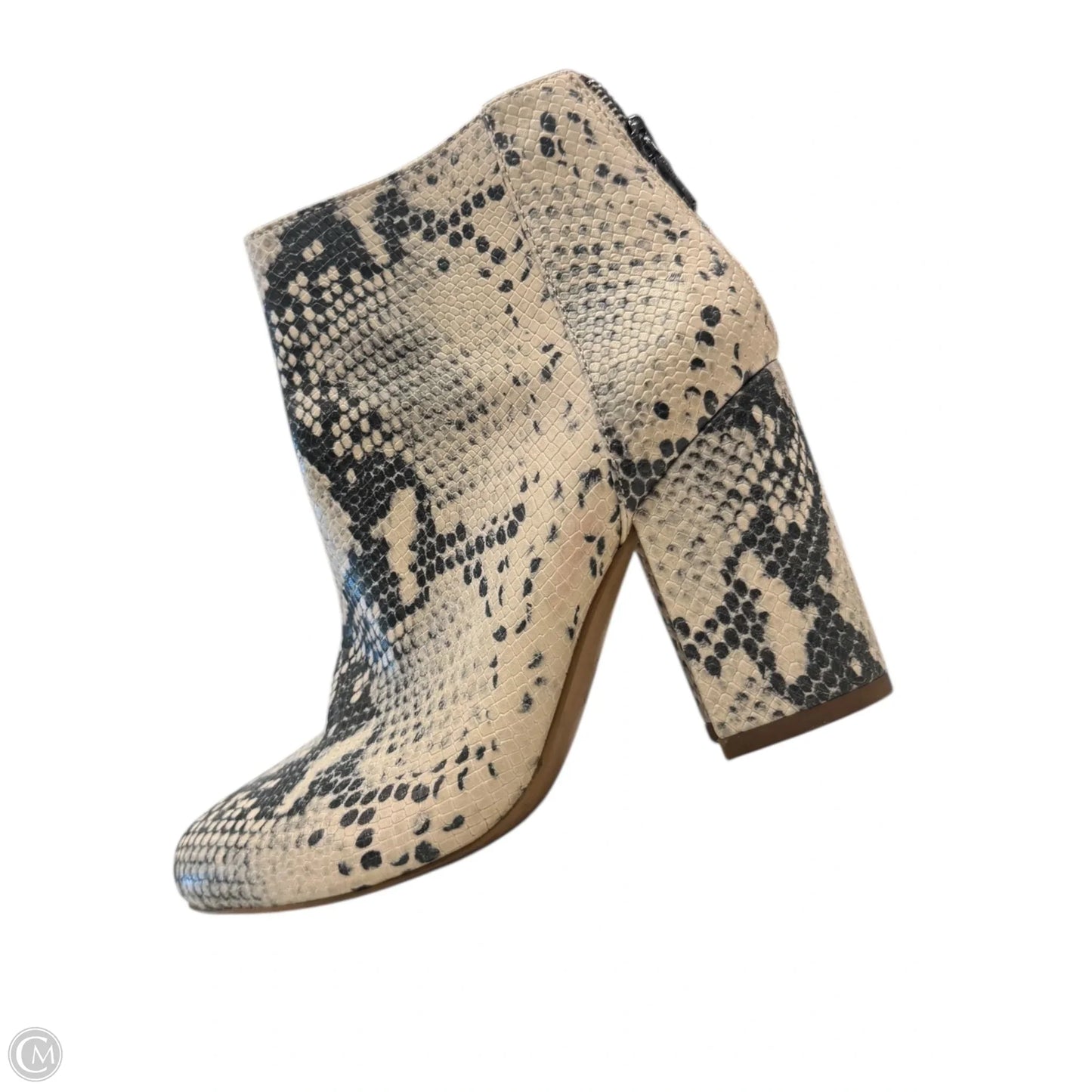 Shoes Heels Block By Steve Madden In Animal Print, Size: 5.5