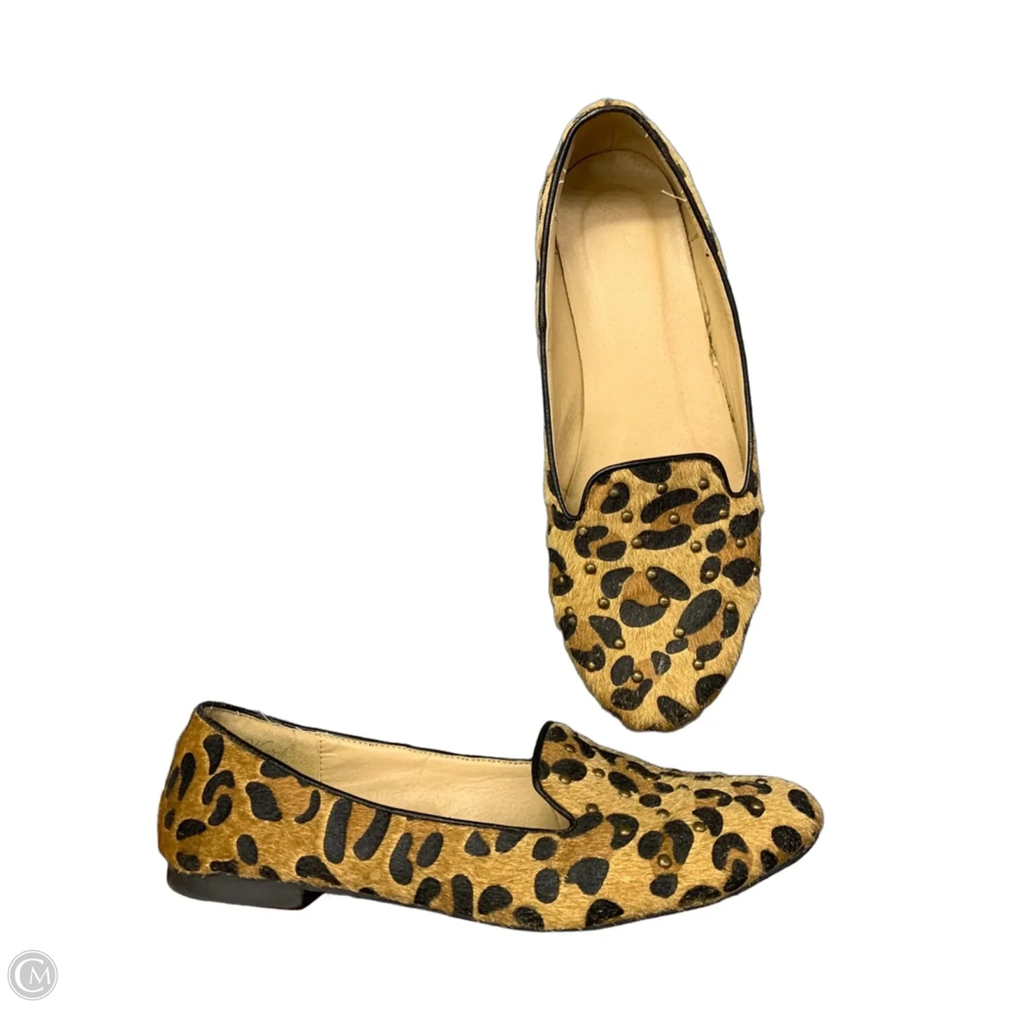 Shoes Flats By Wanted In Leopard Print, Size: 10