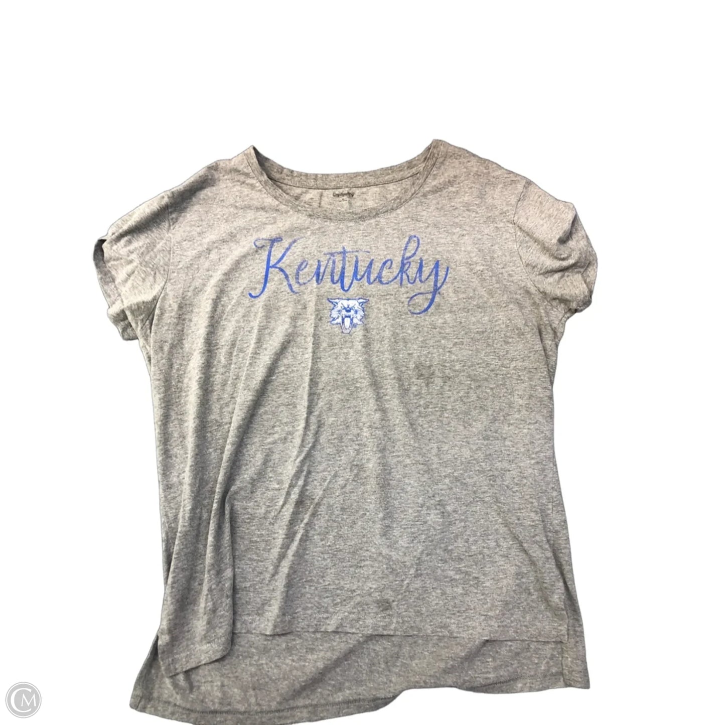 Top Short Sleeve By Clothes Mentor In Grey, Size: Xl