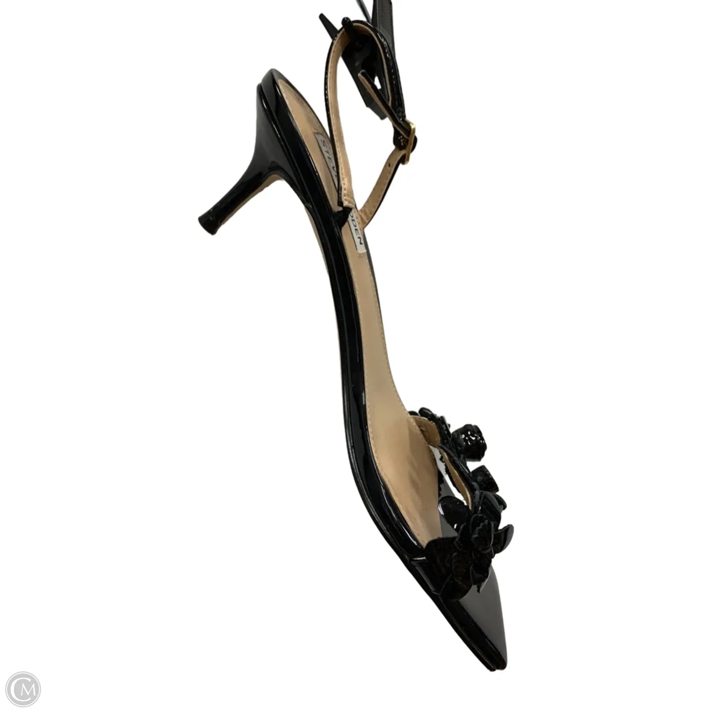 Shoes Heels Kitten By Steve Madden In Black, Size: 7.5