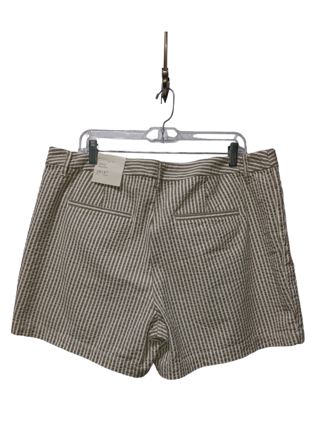 Shorts By A New Day  Size: 6