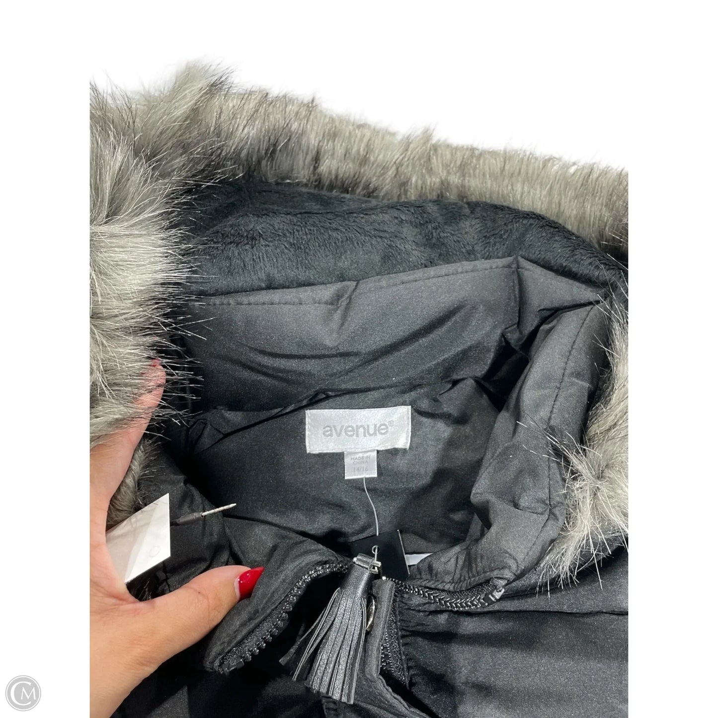 Coat Parka By Avenue In Black, Size: 16