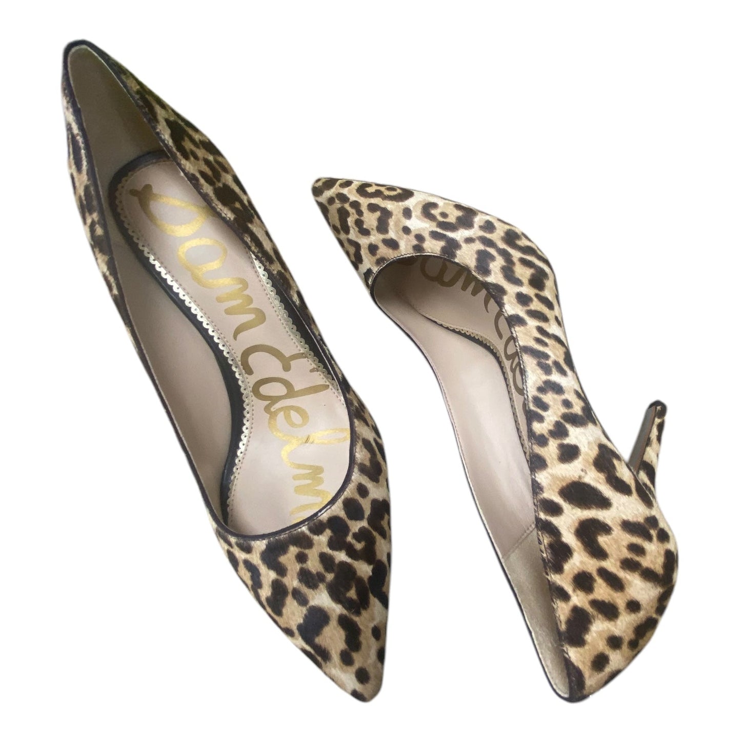 Shoes Heels Stiletto By Sam Edelman In Animal Print, Size: 8