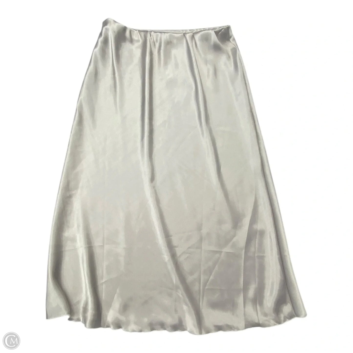 Skirt Maxi By Express In Silver, Size: S