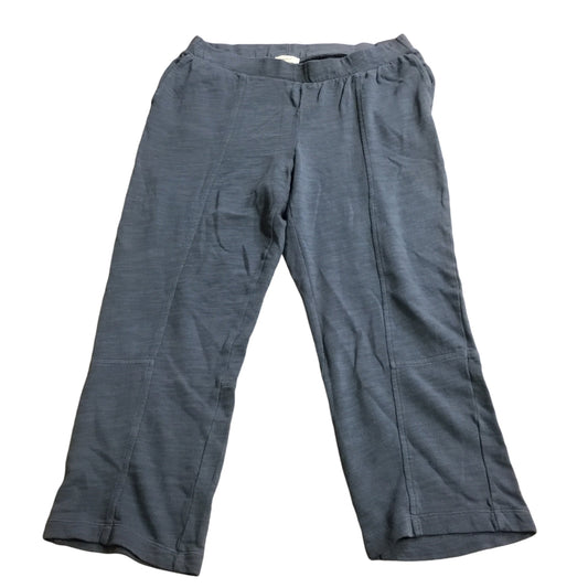 Pants Lounge By J. Jill In Blue, Size: M