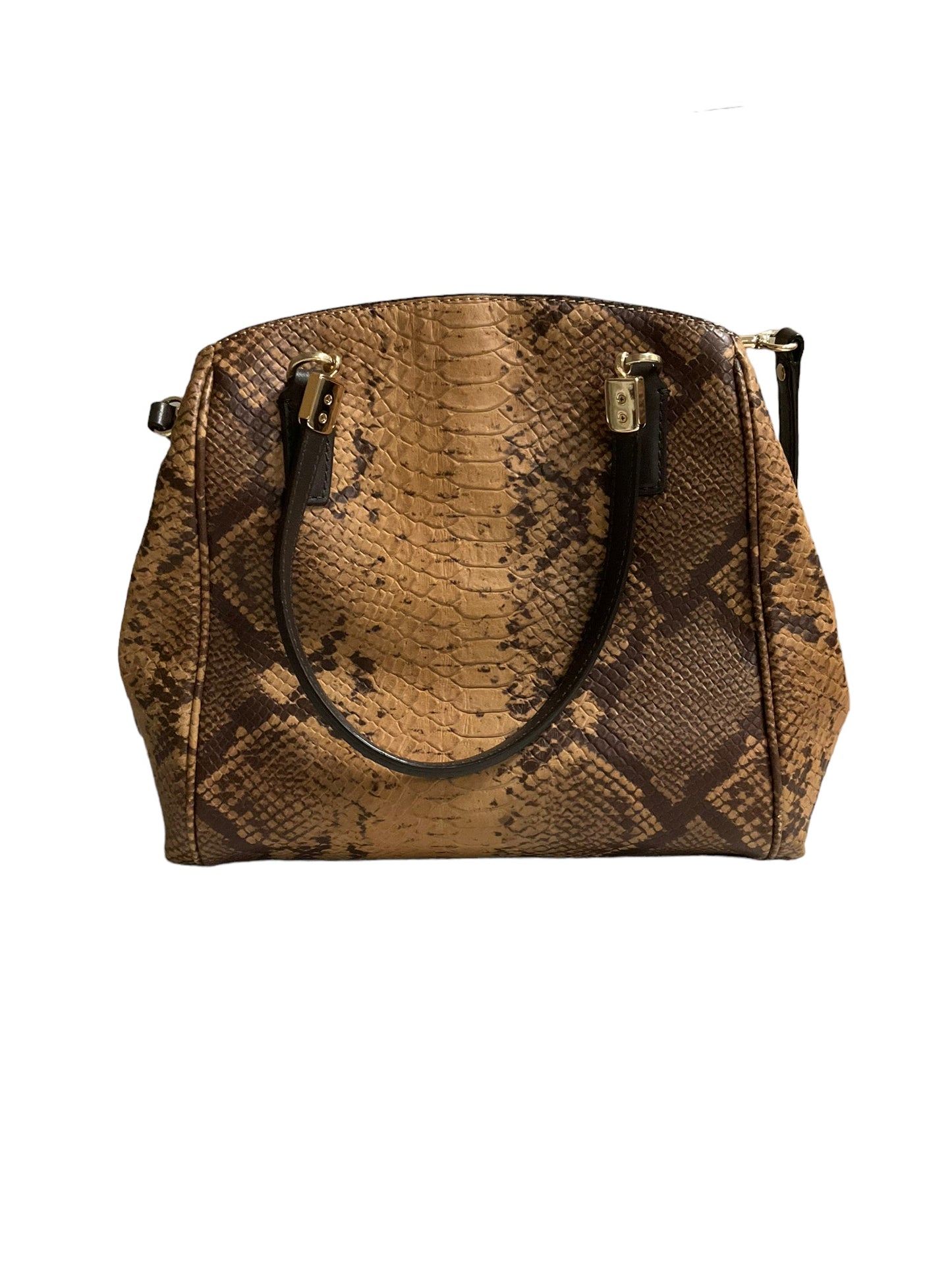 Snakeskin Print Handbag Designer Coach, Size Medium