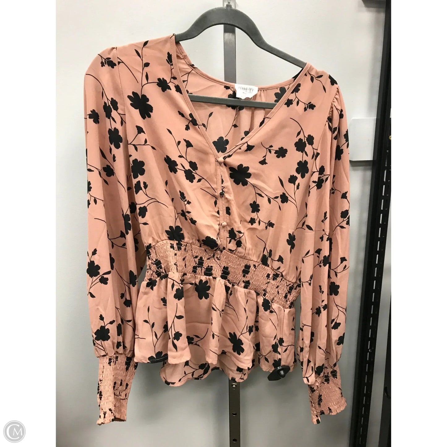 Top Long Sleeve By Sienna Sky In Peach, Size: L