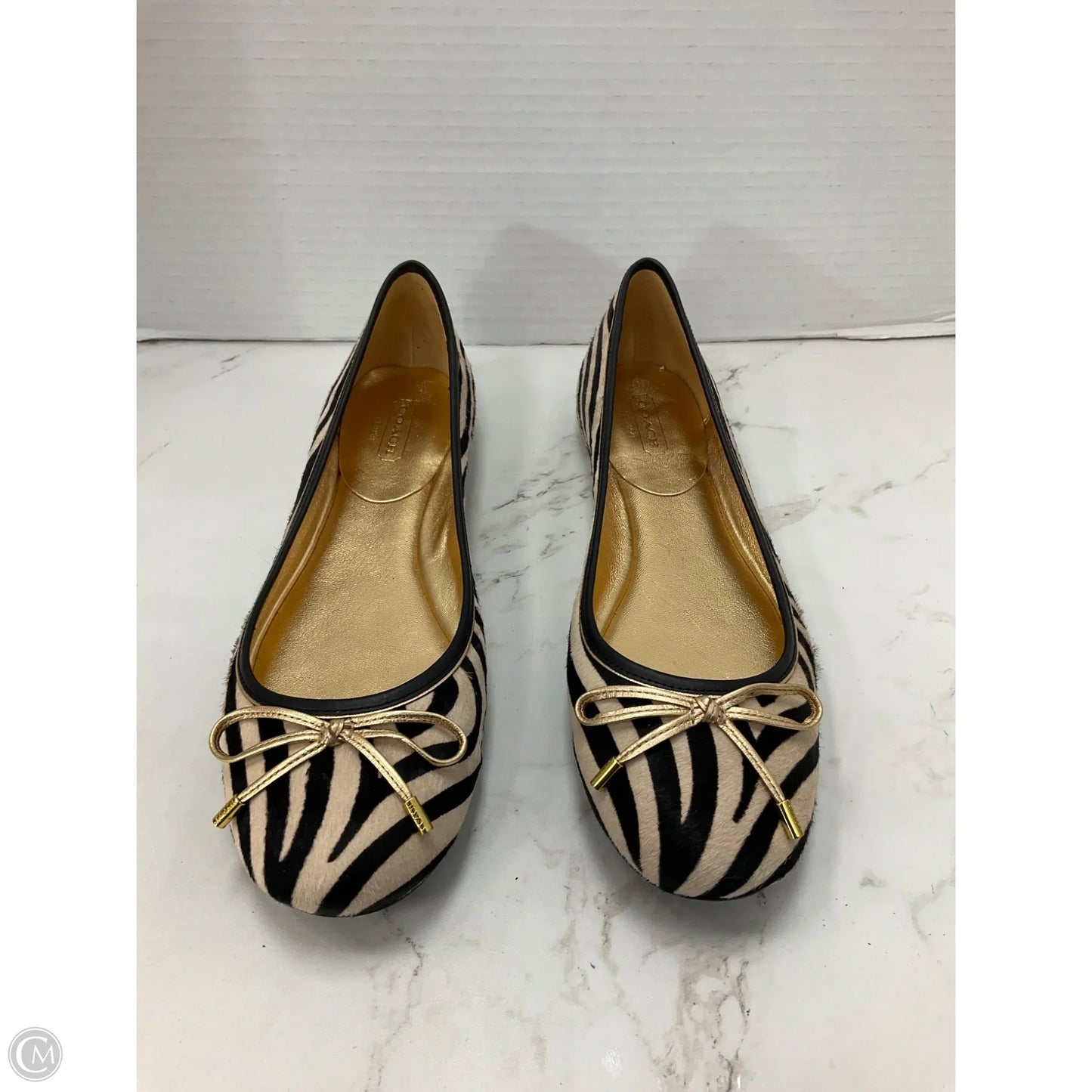 Shoes Designer By Coach In Zebra Print, Size: 7.5